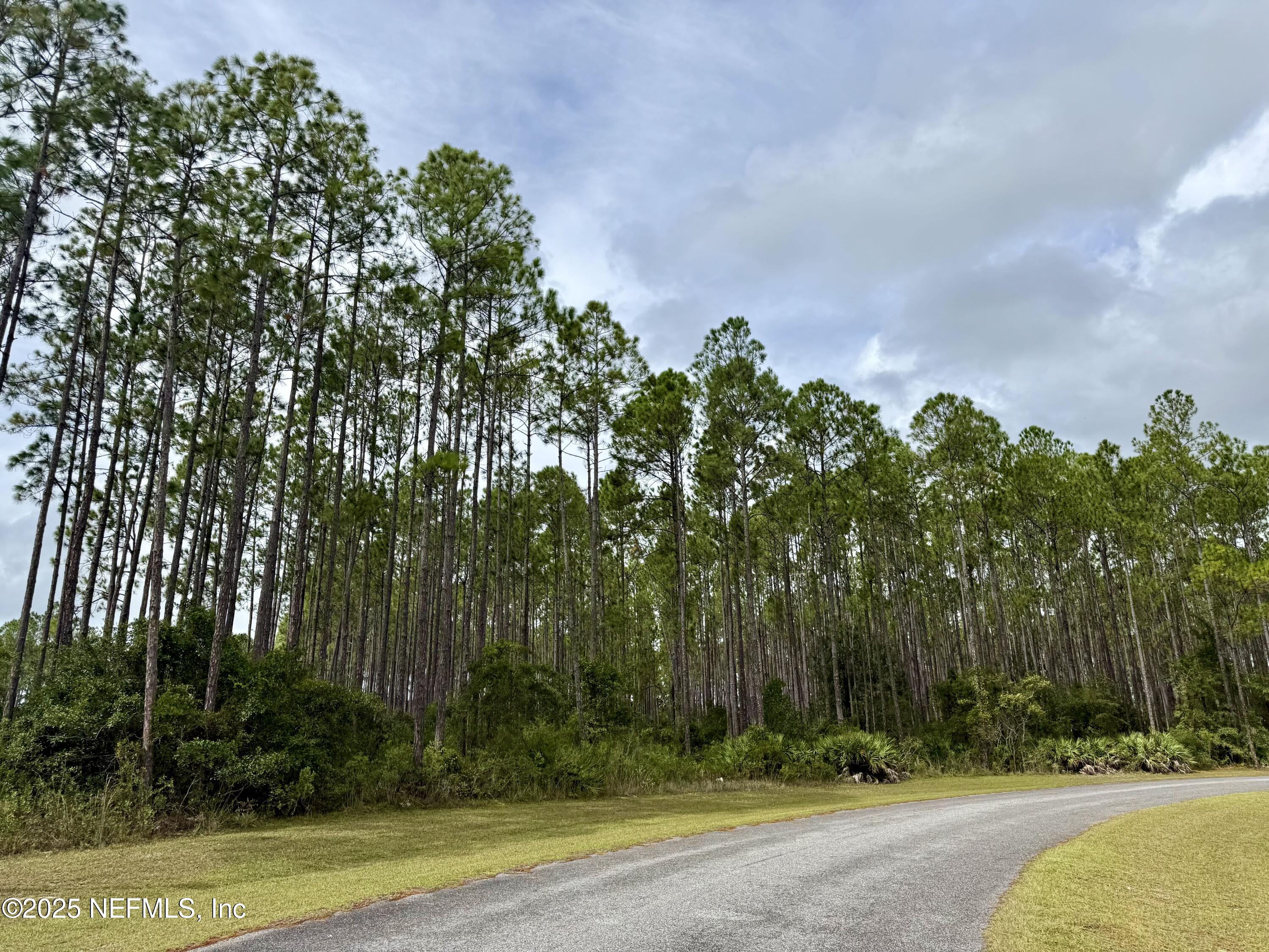 15125 Ingle Road Bryceville, FL 32009 - Photo 14 of 21 a view of a yard