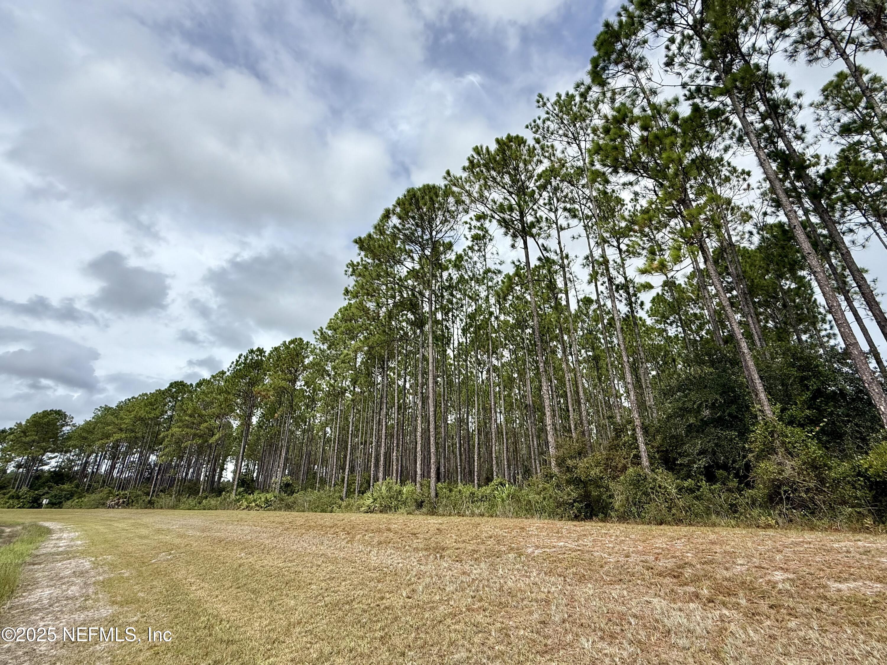 15125 Ingle Road Bryceville, FL 32009 - Photo 15 of 21 a backyard of a house with lots of green space
