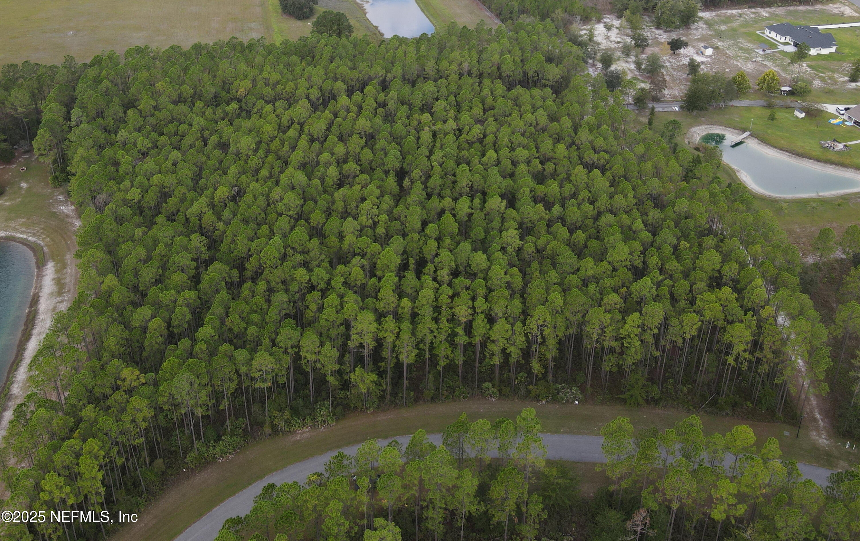 15125 Ingle Road Bryceville, FL 32009 - Photo 3 of 21 a view of a lake view