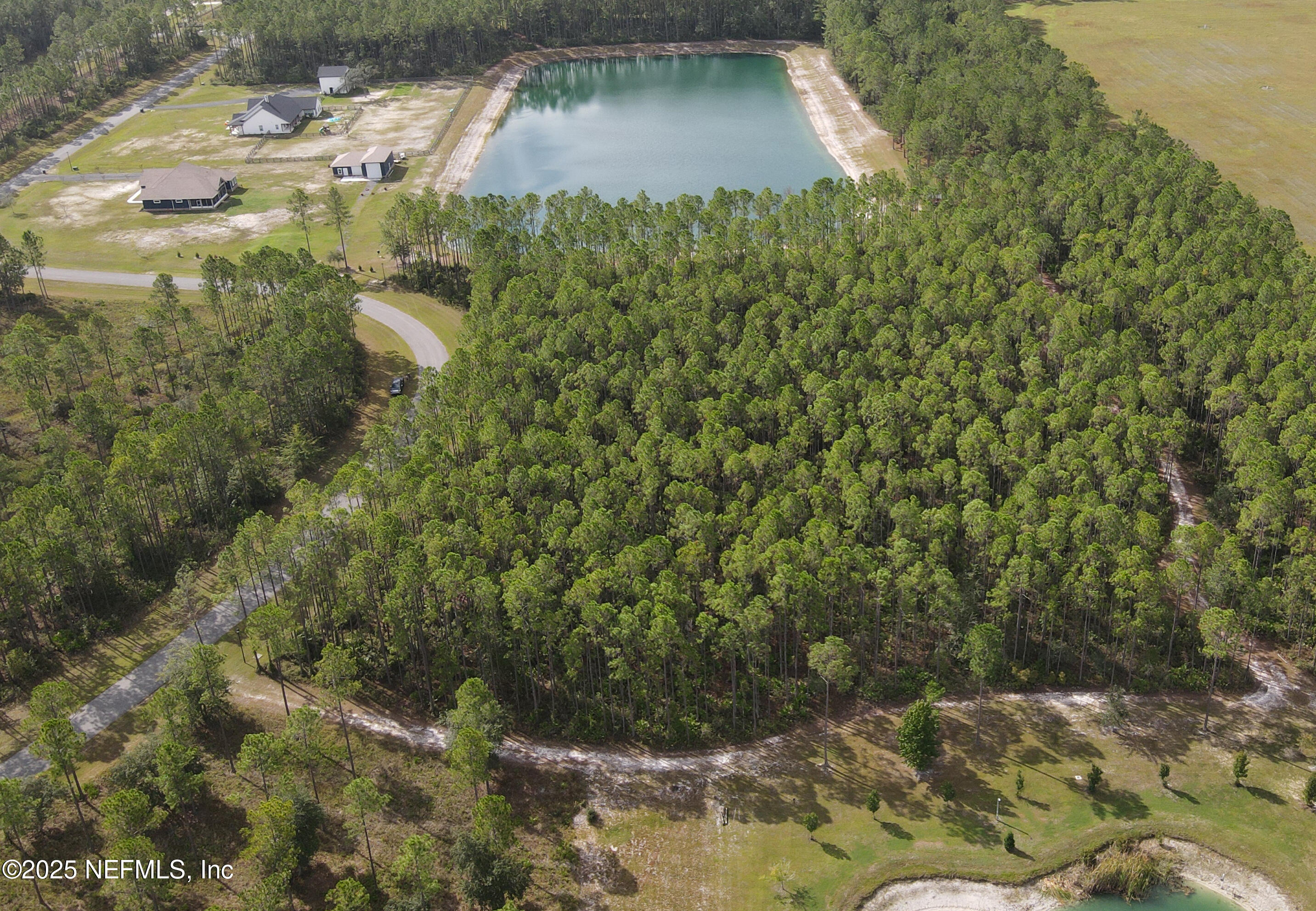 15125 Ingle Road Bryceville, FL 32009 - Photo 6 of 21 a view of a yard