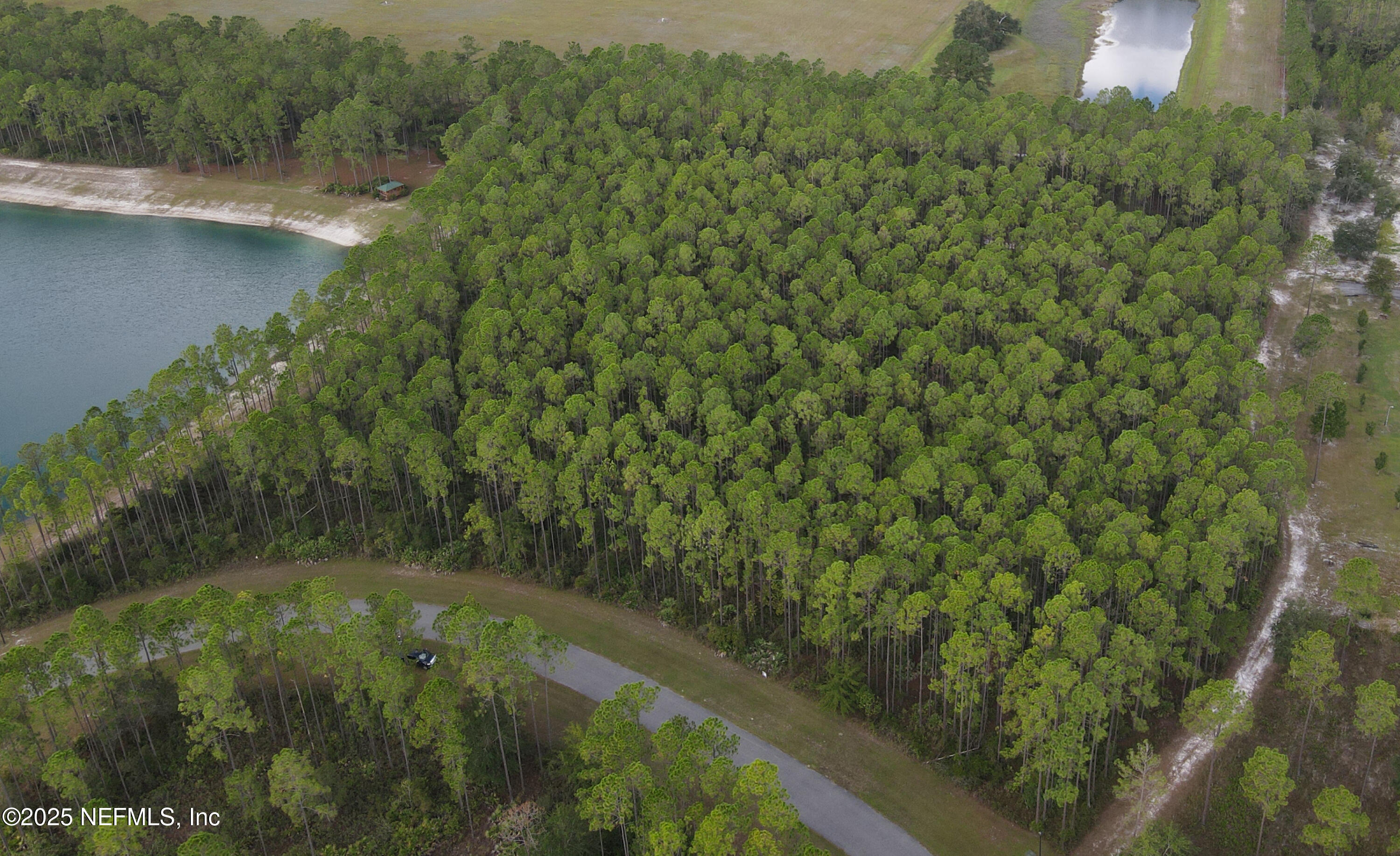 15125 Ingle Road Bryceville, FL 32009 - Photo 7 of 21 a view of a forest from a balcony