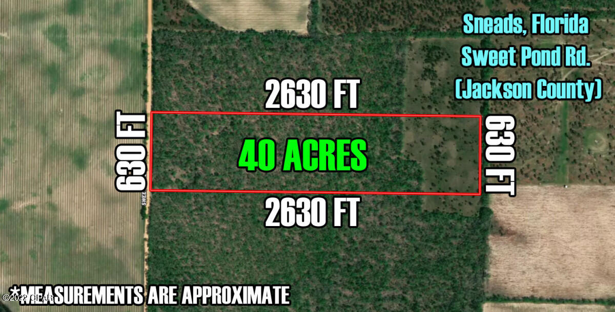 0 Sweet Pond Road Sneads, FL 32460 - Photo 5 of 12