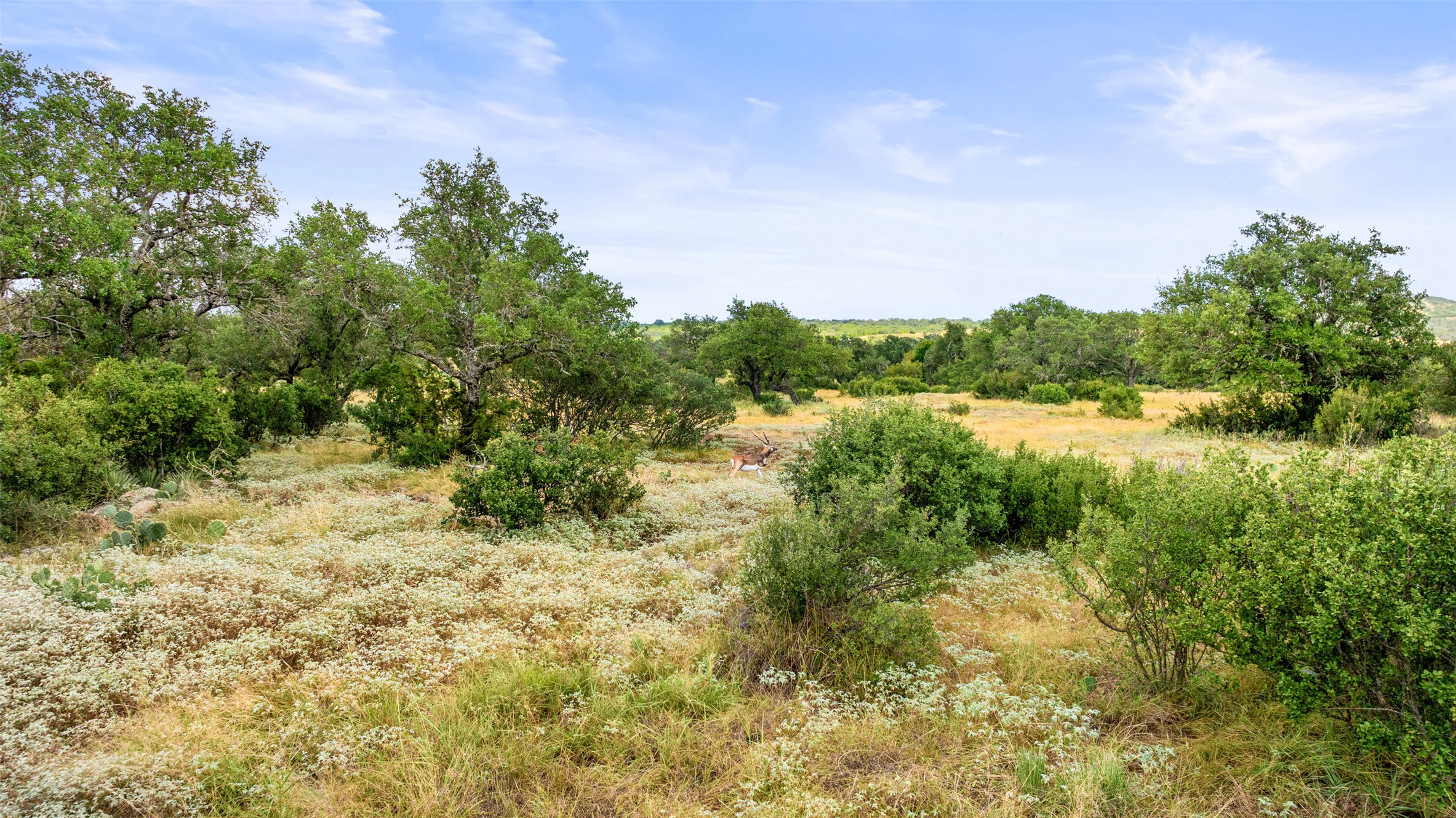 Lot 37 Vista Rdg Drive Round Mountain, TX 78663 - Photo 15 of 30 View of undeveloped land