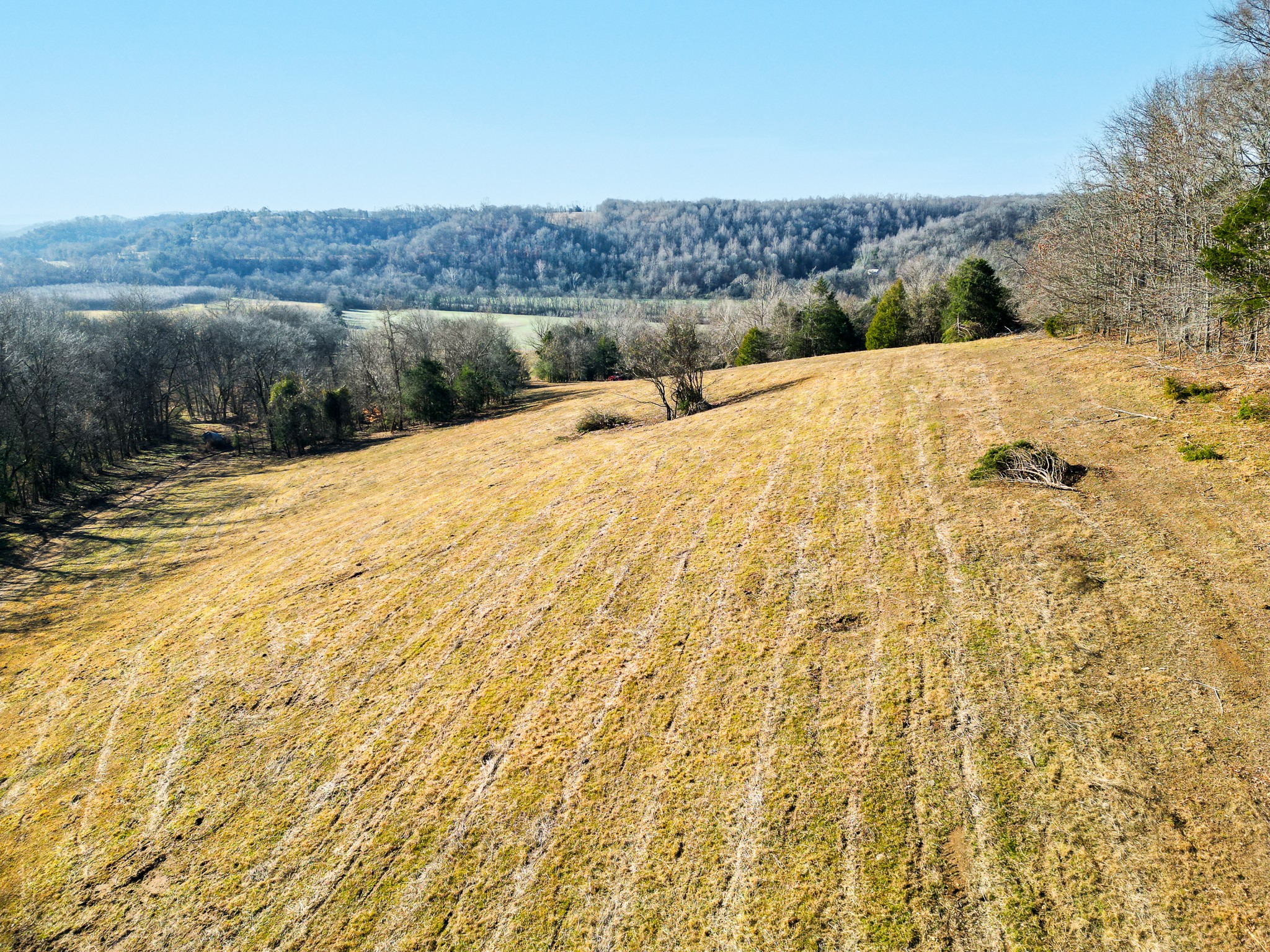 0 Woodrow Road Frankewing, TN 38459 - Photo 23 of 26 a view of a backyard of the house