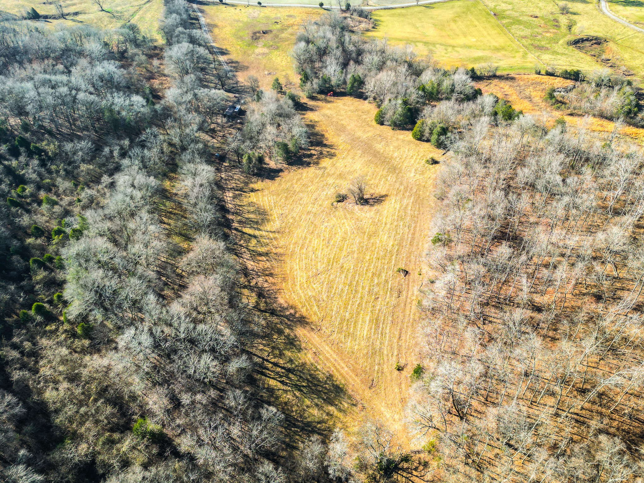 0 Woodrow Road Frankewing, TN 38459 - Photo 25 of 26
