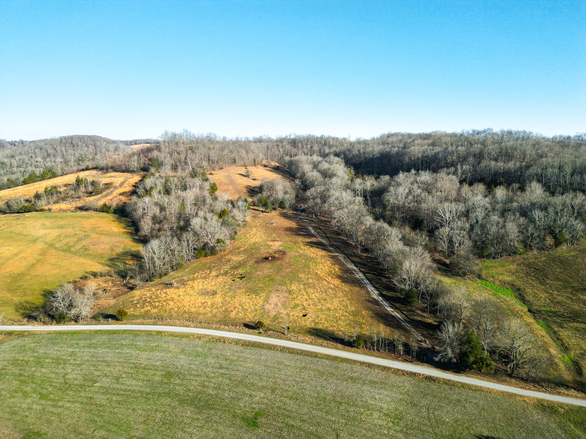 0 Woodrow Road Frankewing, TN 38459 - Photo 3 of 26 a view of an ocean
