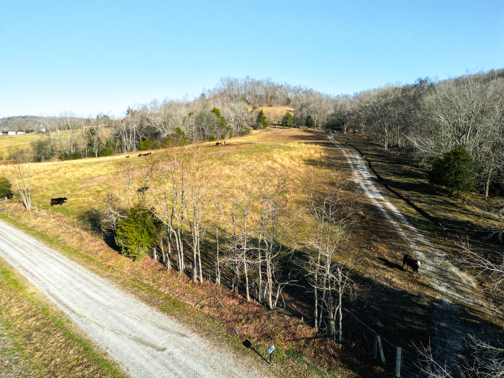 0 Woodrow Road Frankewing, TN 38459 - Photo 8 of 26 a view of an ocean view