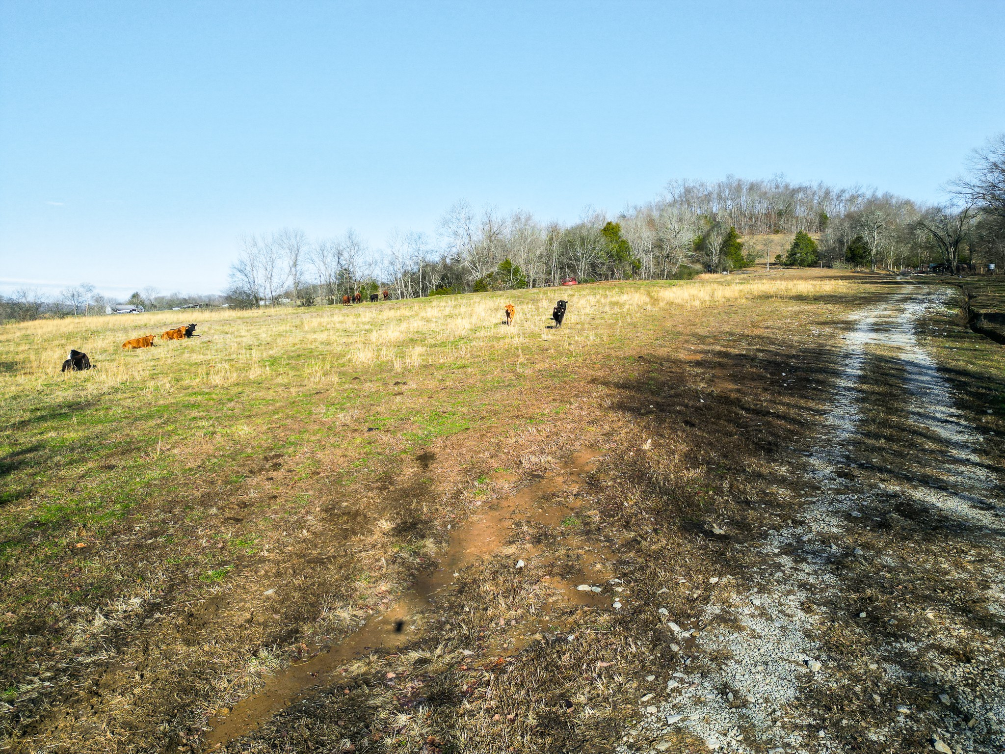 0 Woodrow Road Frankewing, TN 38459 - Photo 10 of 26 a view of an ocean and beach