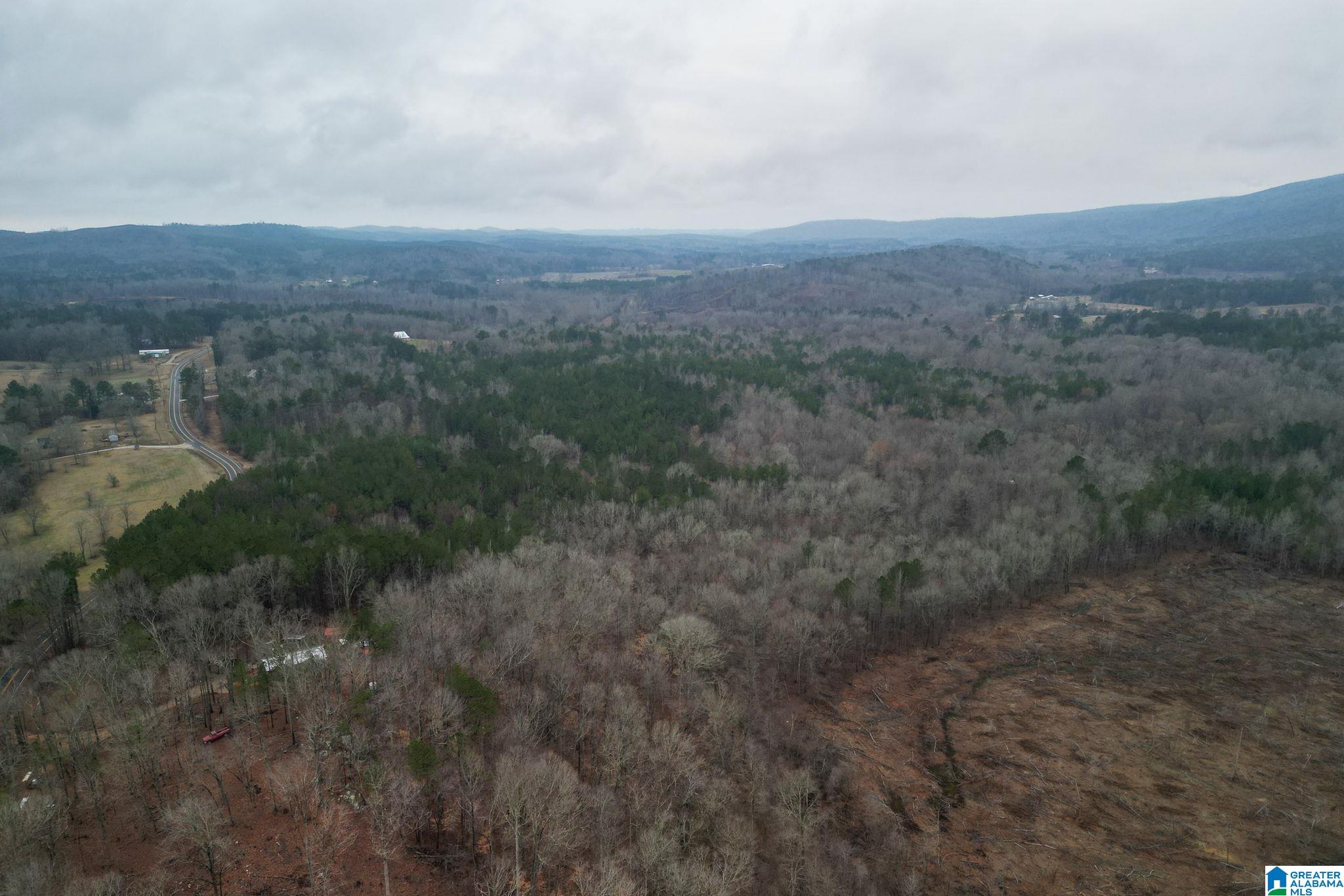0 Highway 49 Lineville, AL 36266 - Photo 3 of 18