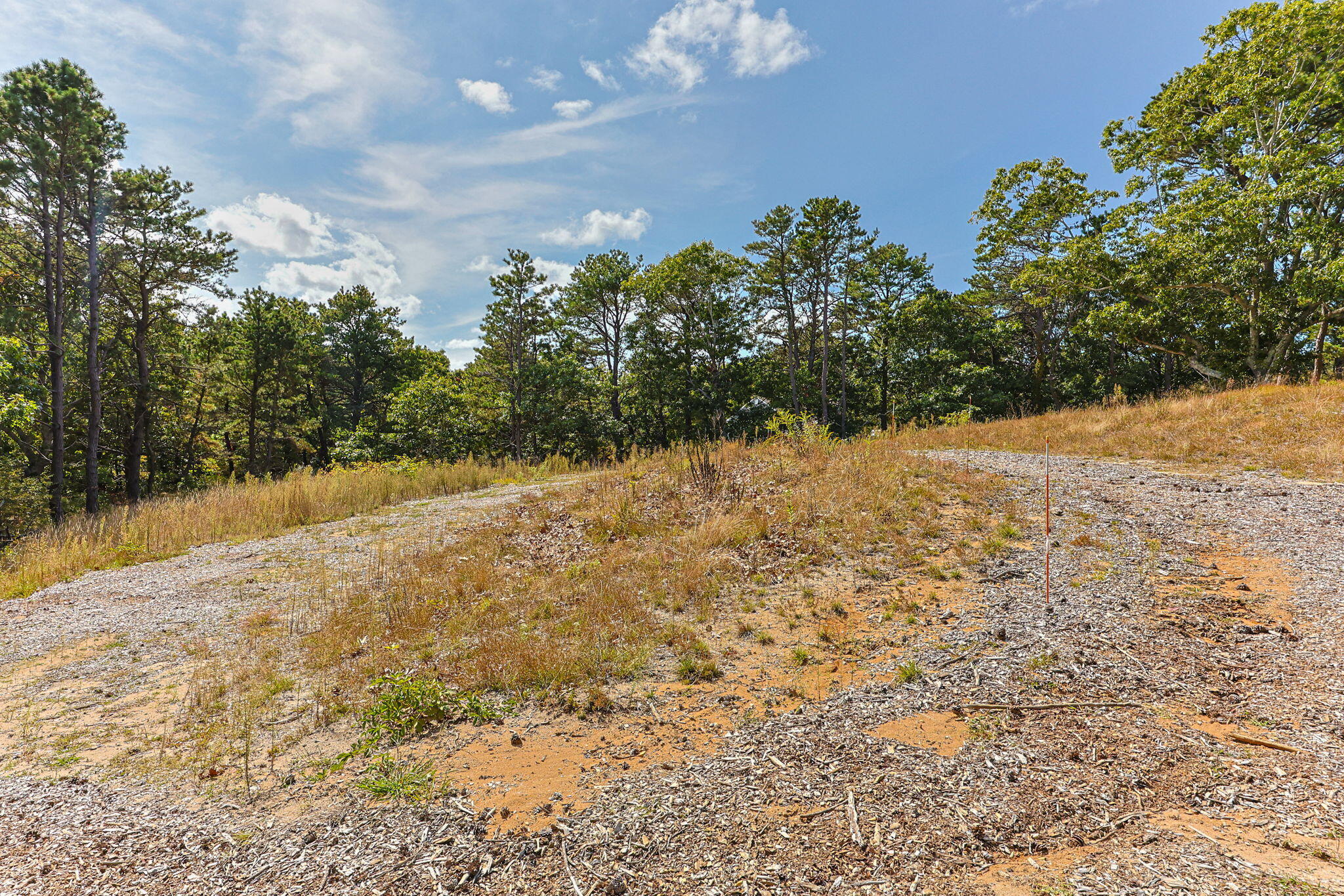 7 Arrowhead Farm Road Truro, MA 02666 - Photo 11 of 16 a view of a yard with trees