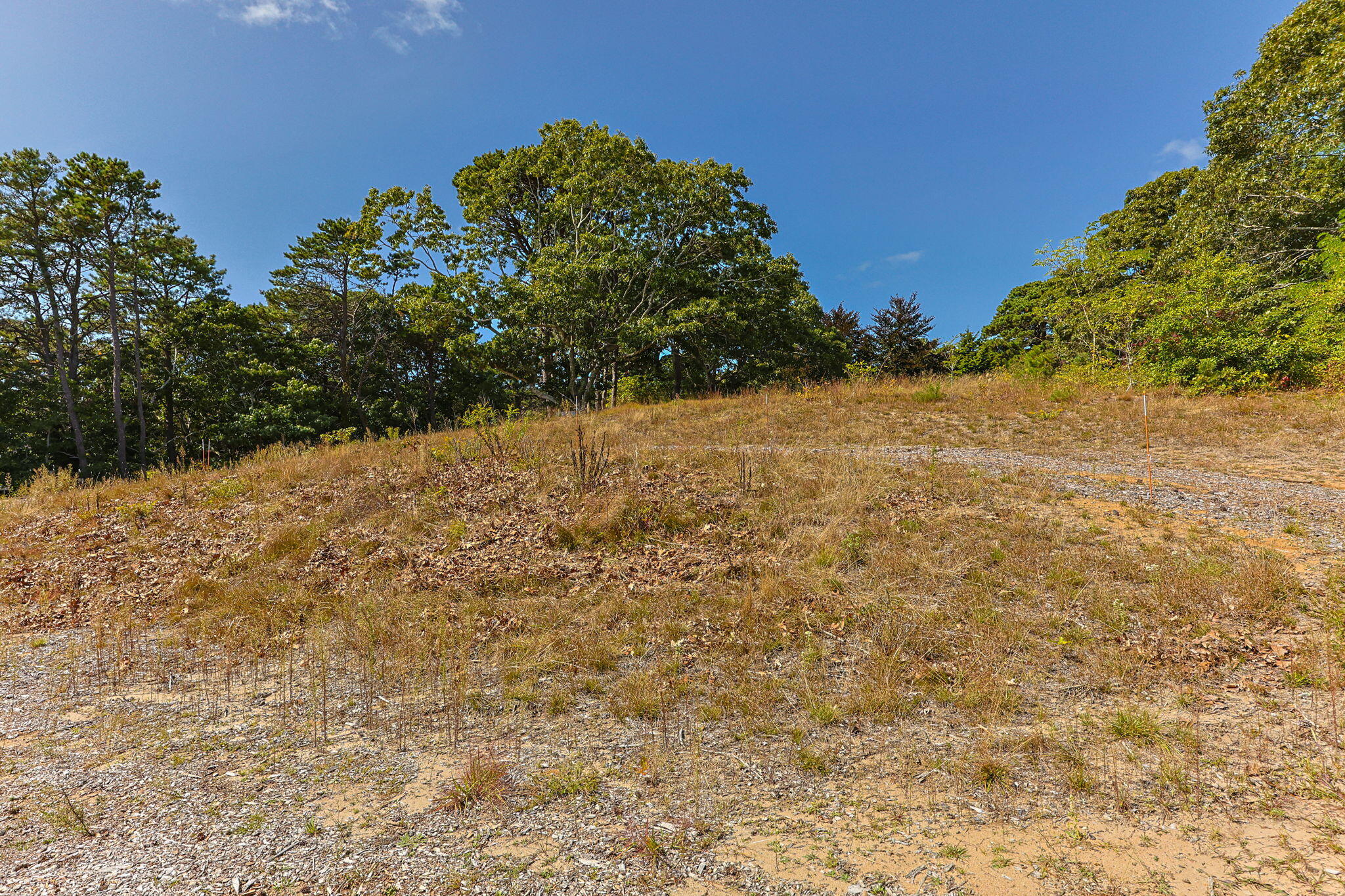 7 Arrowhead Farm Road Truro, MA 02666 - Photo 12 of 16 a view of a yard