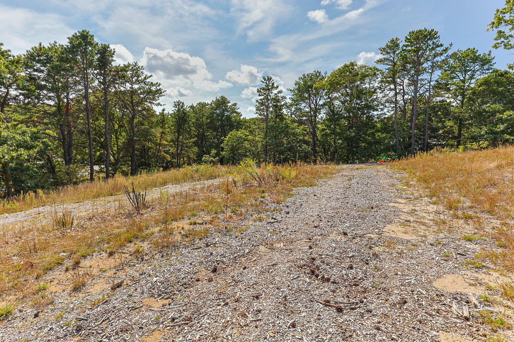 7 Arrowhead Farm Road Truro, MA 02666 - Photo 5 of 16 a view of a yard with a tree