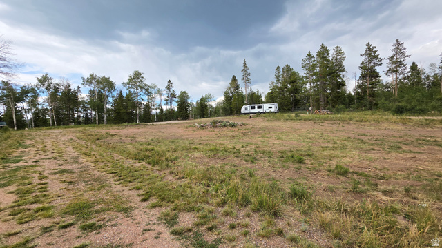 38 Spruce, Unit 38A Evanston, UT 82930 - Photo 4 of 15 Expansive cleared lot featuring natural landscaping and a backdrop of mature pine and aspen trees