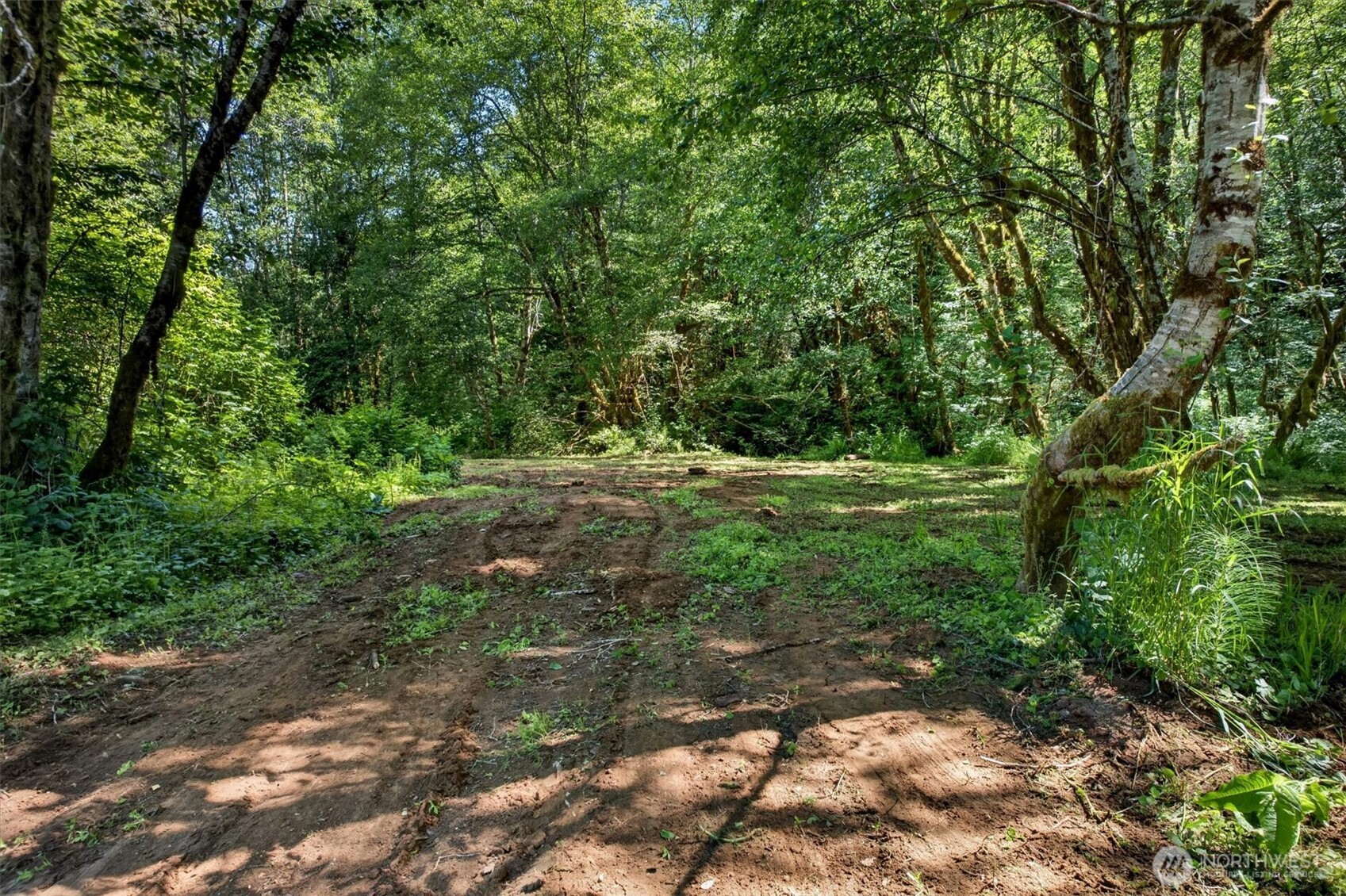 344 Hull Creek Road Grays River, WA 98621 - Photo 10 of 29