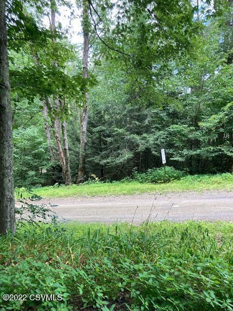 552 Watts Road Unityville, PA 17774 - Photo 19 of 19