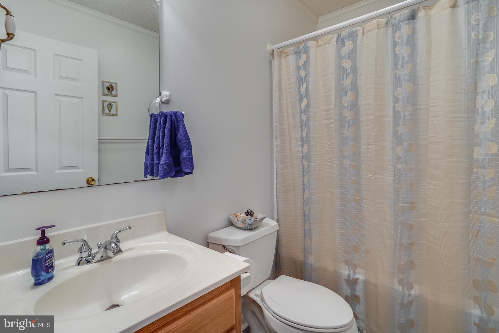 13702 Sailing Road Ocean City, MD 21842 - Photo 20 of 32 a bathroom with a sink a toilet and shower curtain