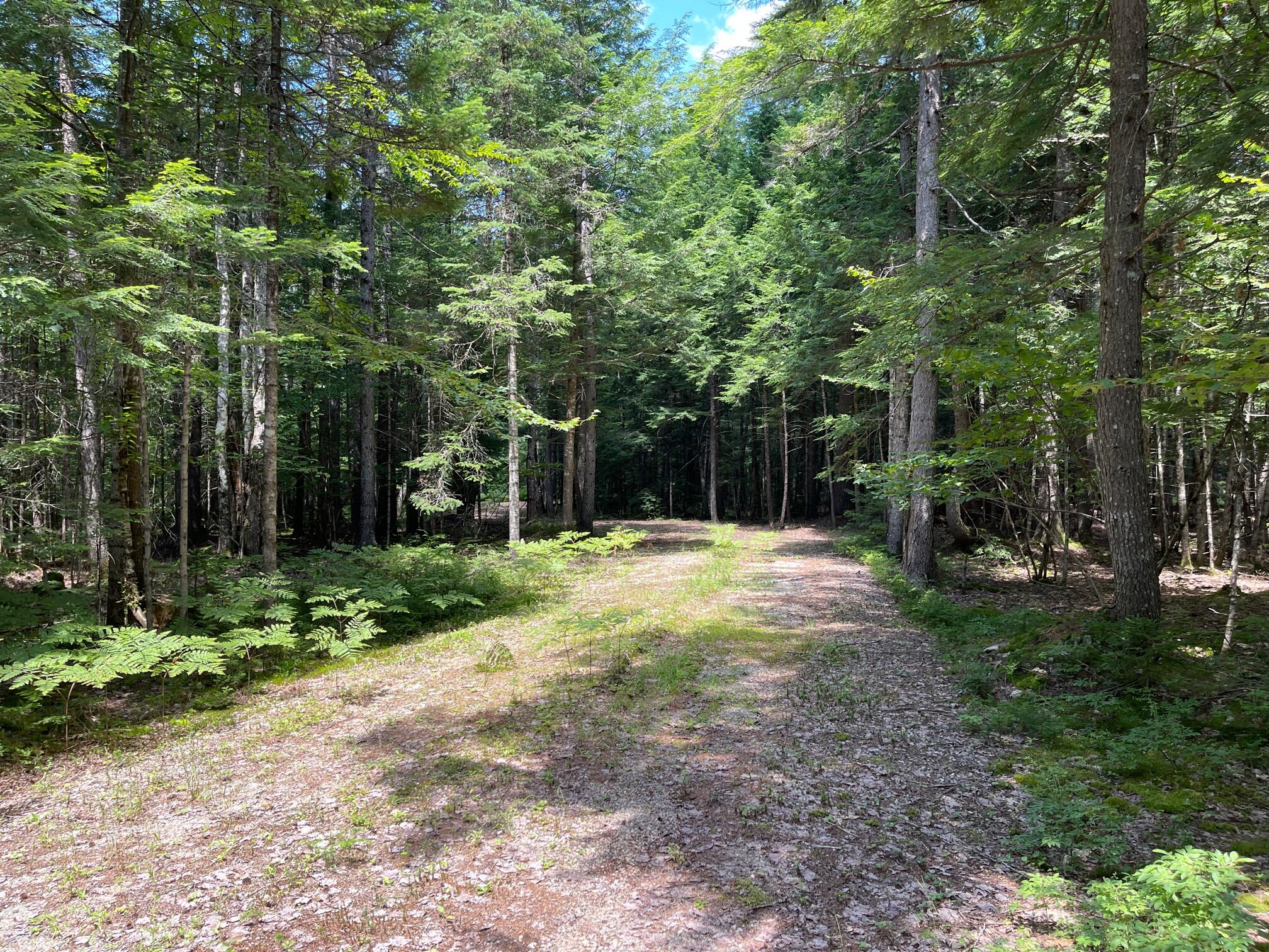 155 Riverbend Road Brownfield, ME 04010 - Photo 2 of 10 IMG_1811