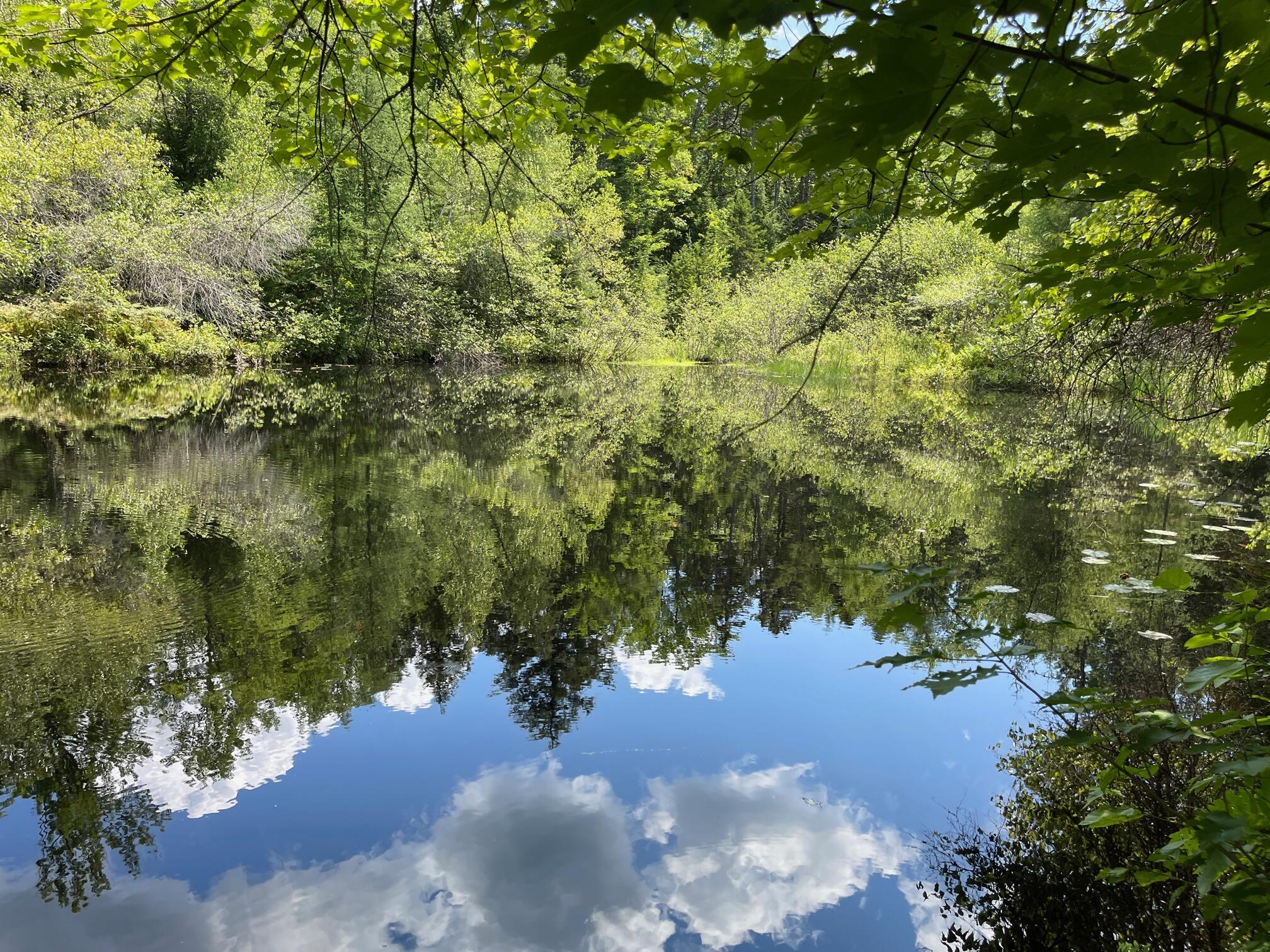 155 Riverbend Road Brownfield, ME 04010 - Photo 5 of 10 IMG_1818