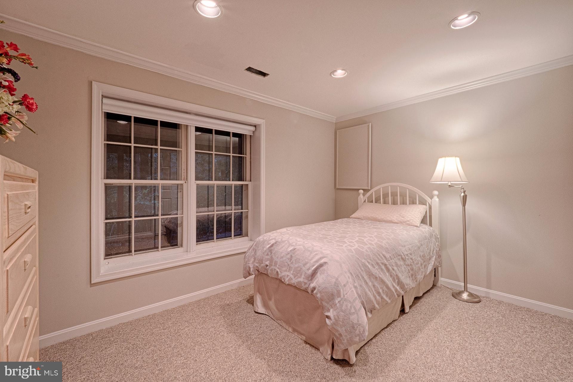11869 Fawn Ridge Lane Reston, VA 20194 - Photo 22 of 30 Lower level BR - huge closet!