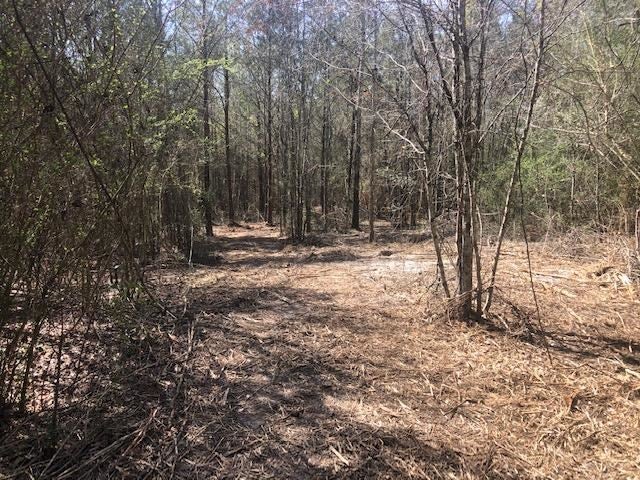 5-ac Dyess Dairy Road Opp, AL 36467 - Photo 6 of 13 Gallery Image 6