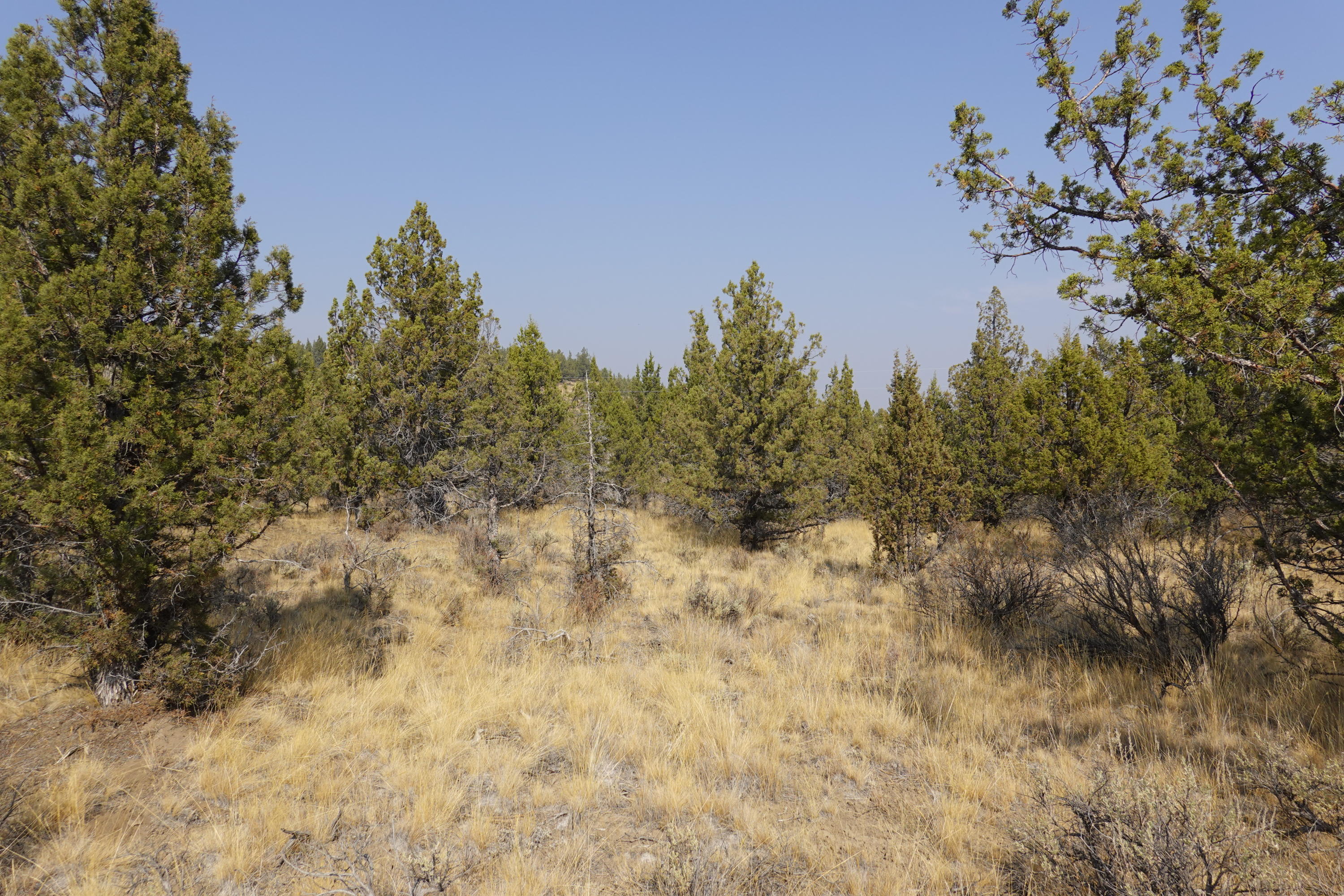 0 Southeast Dead End Road Prineville, OR 97754 - Photo 25 of 32 DSC00111