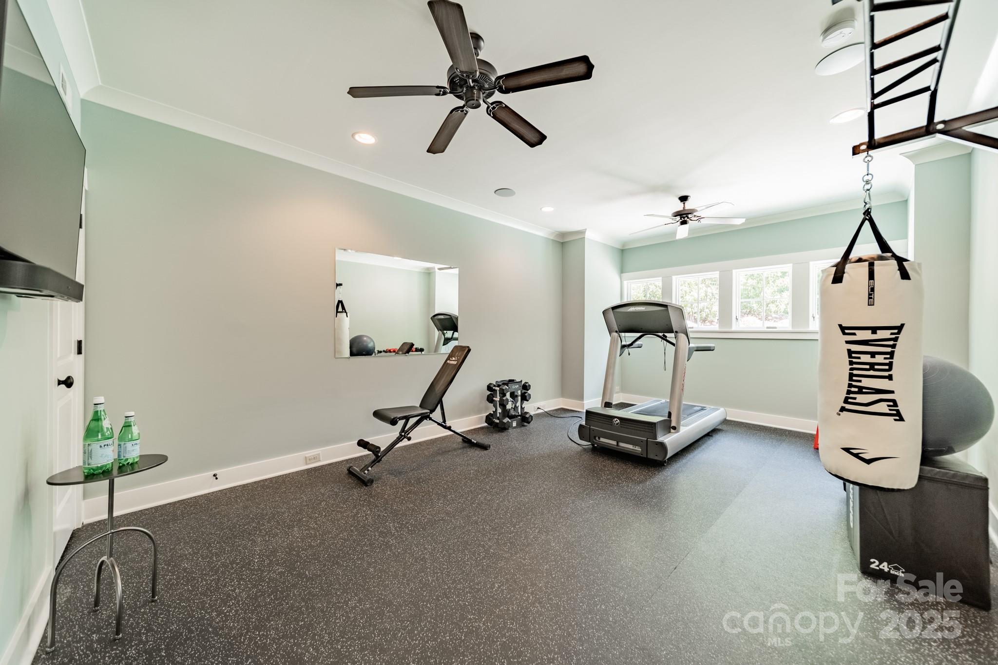 431 Bramble Way Fort Mill, SC 29708 - Photo 43 of 48 a view of a room with gym equipment