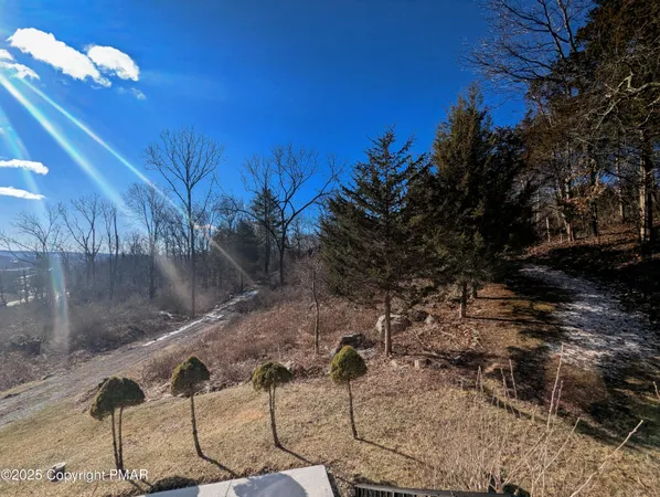 a view of swimming pool with a yard