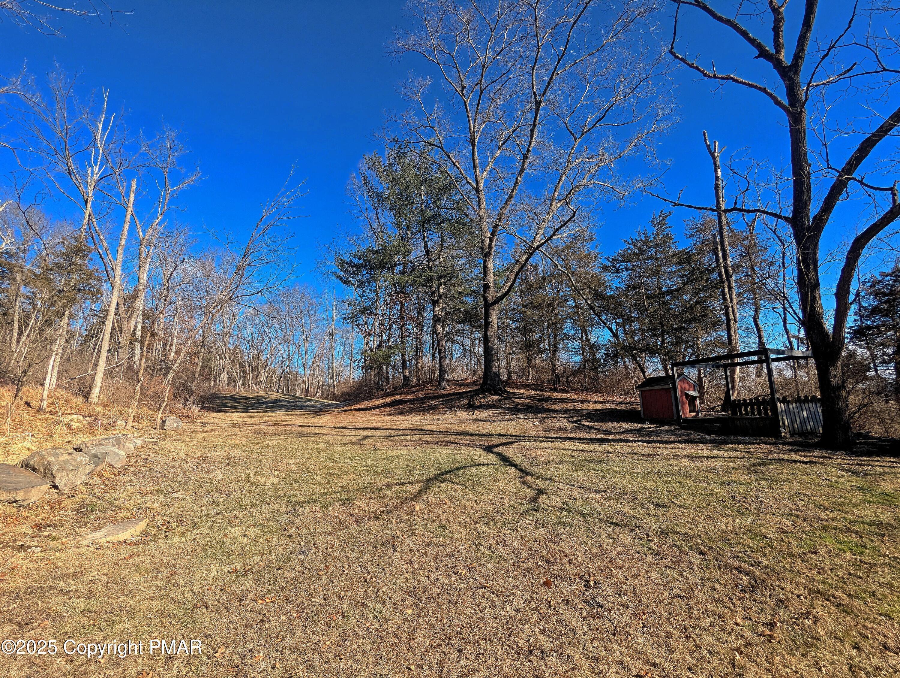 1603 Rachel Road Stroudsburg, PA 18360 - Photo 31 of 33 a view of a yard with trees