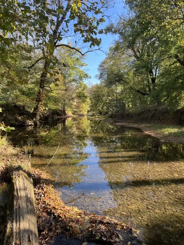 a view of outdoor space and garden
