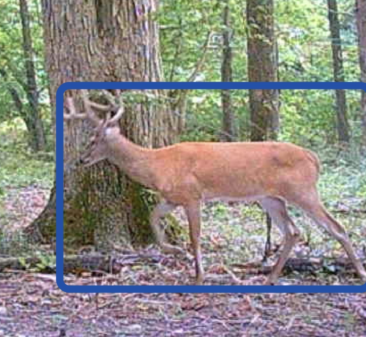 0 Red River School Road Portland, TN 37148 - Photo 14 of 15