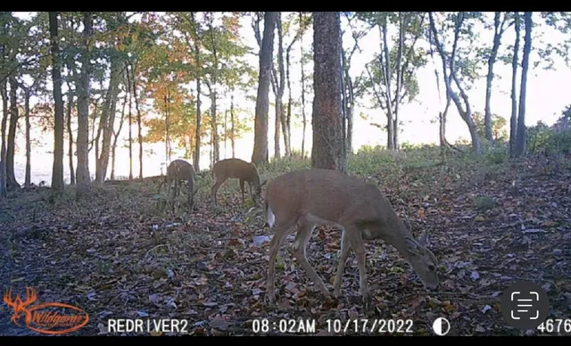 $194,900 | 0 Red River School Road, Portland, TN 37148