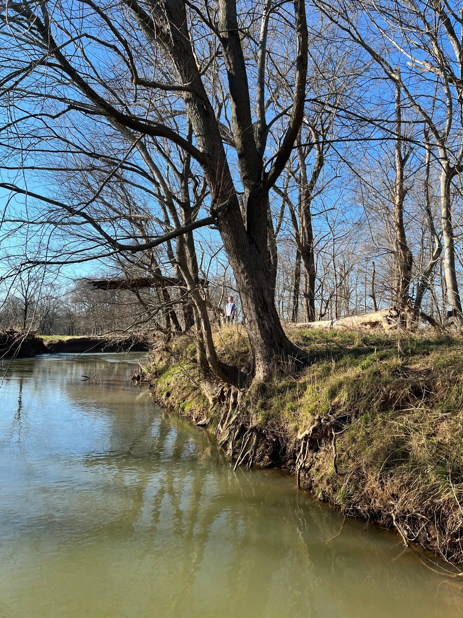 0 Red River School Road Portland, TN 37148 - Photo 2 of 15 a view of lake