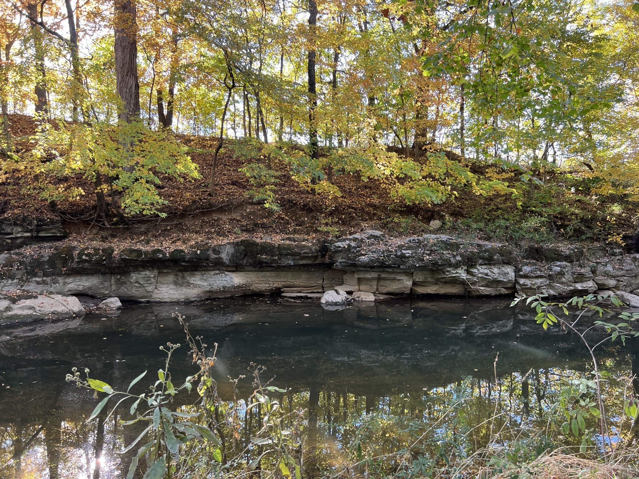 0 Red River School Road Portland, TN 37148 - Photo 4 of 15 a view of lake
