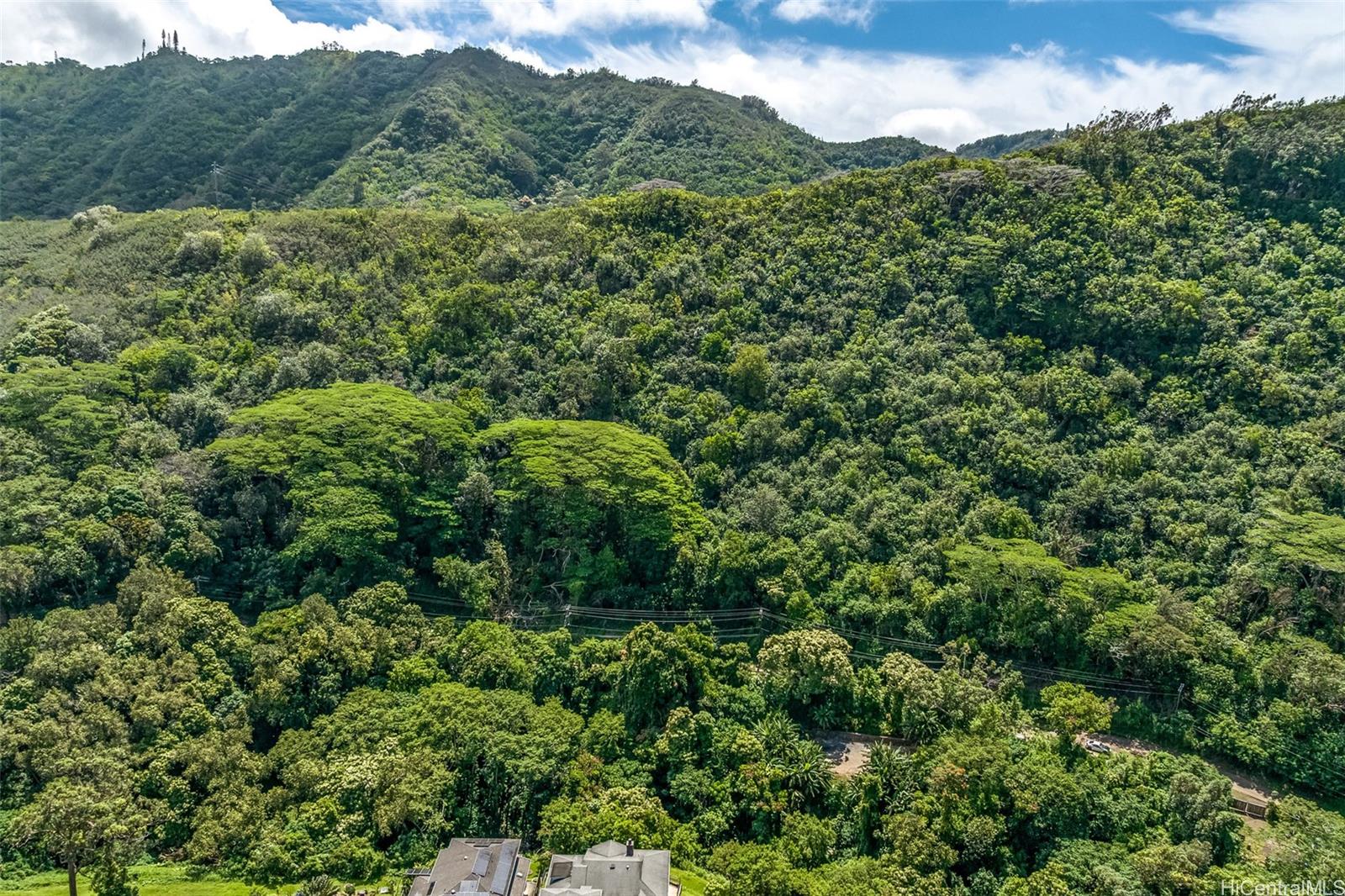 2640 Lai Road, Unit E Honolulu, HI 96816 - Photo 20 of 25 a view of a lush green forest with trees in the background