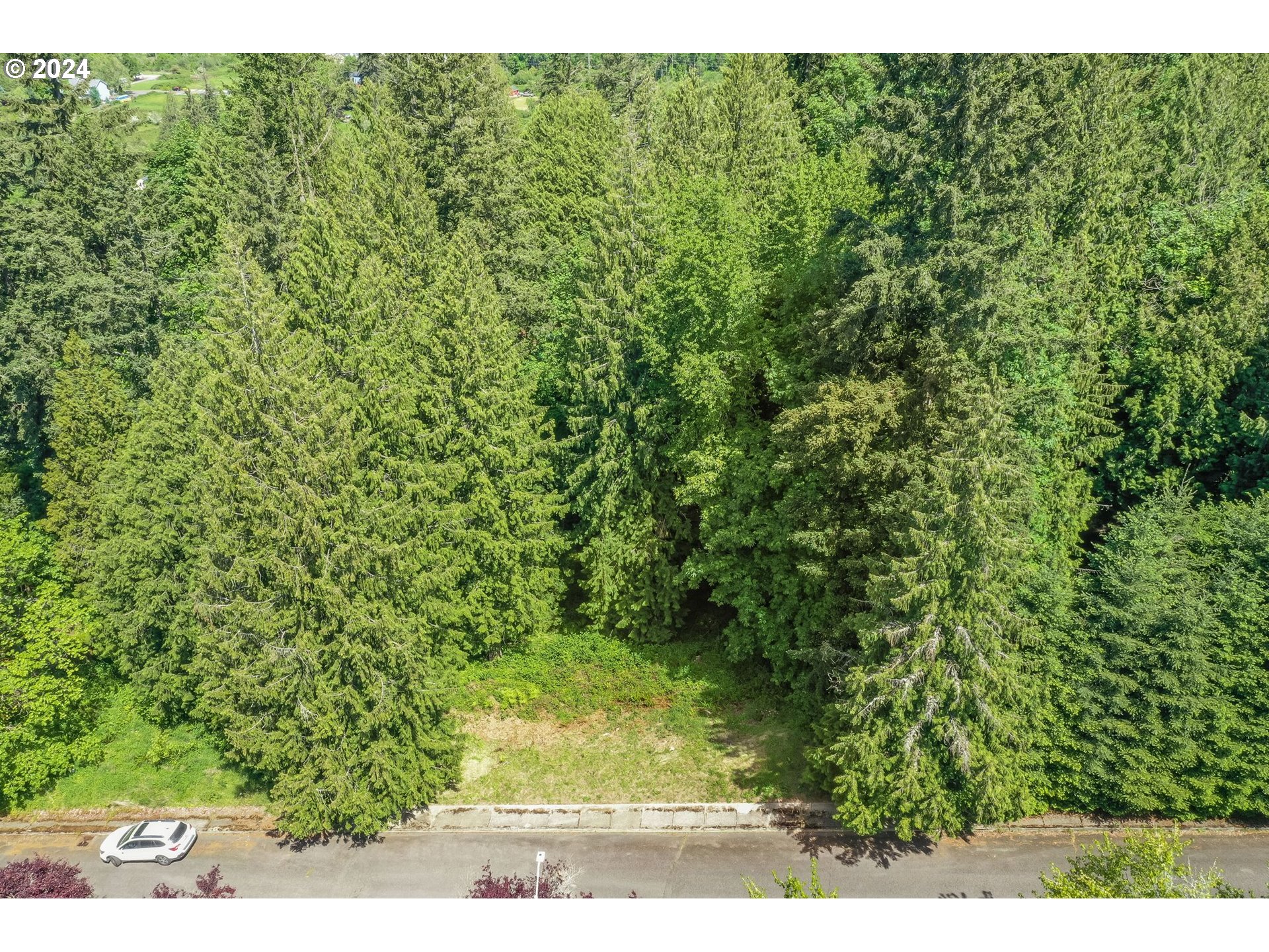 Southeast Duke Street Portland, OR 97236 - Photo 18 of 30