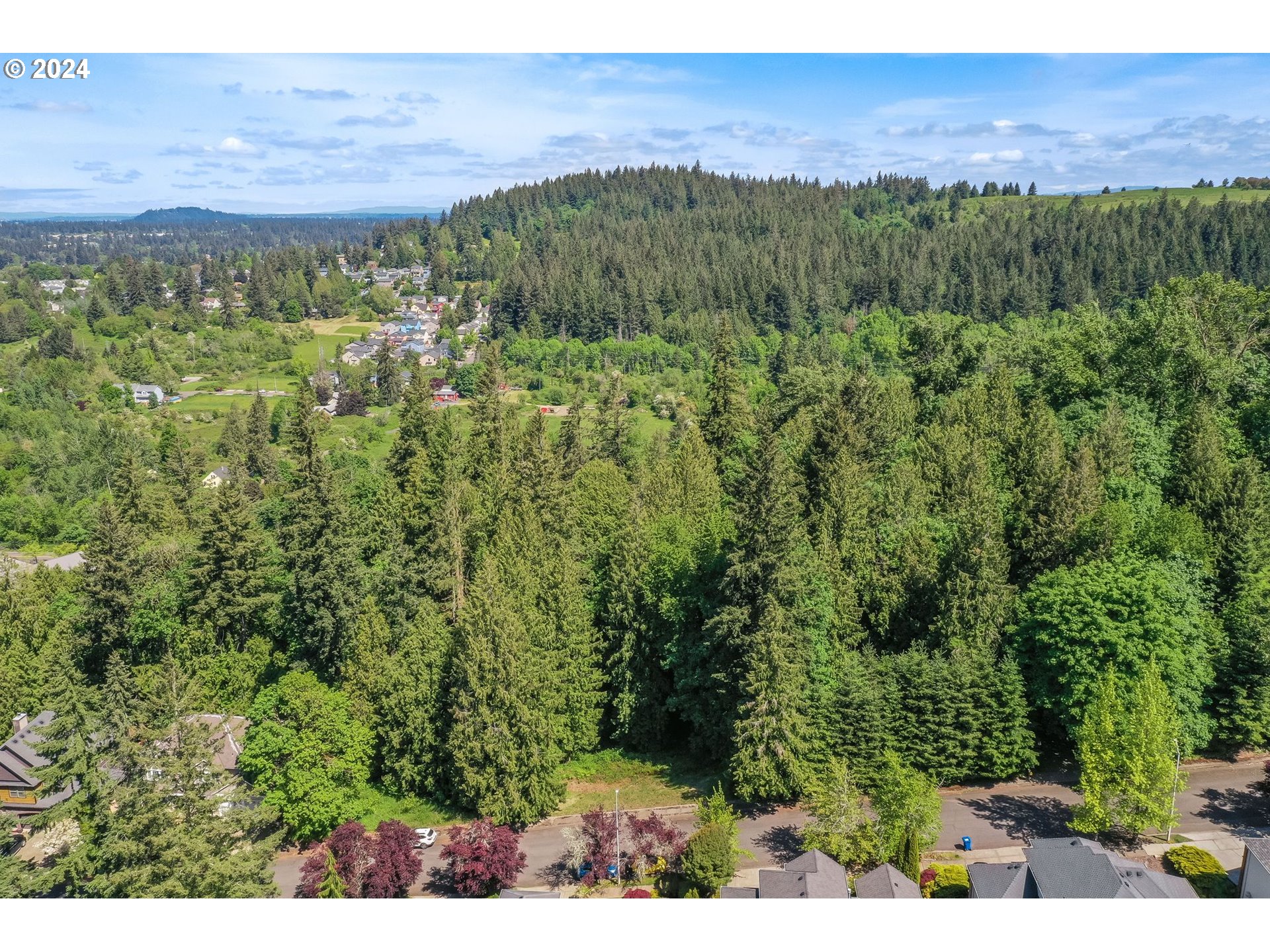 Southeast Duke Street Portland, OR 97236 - Photo 24 of 30