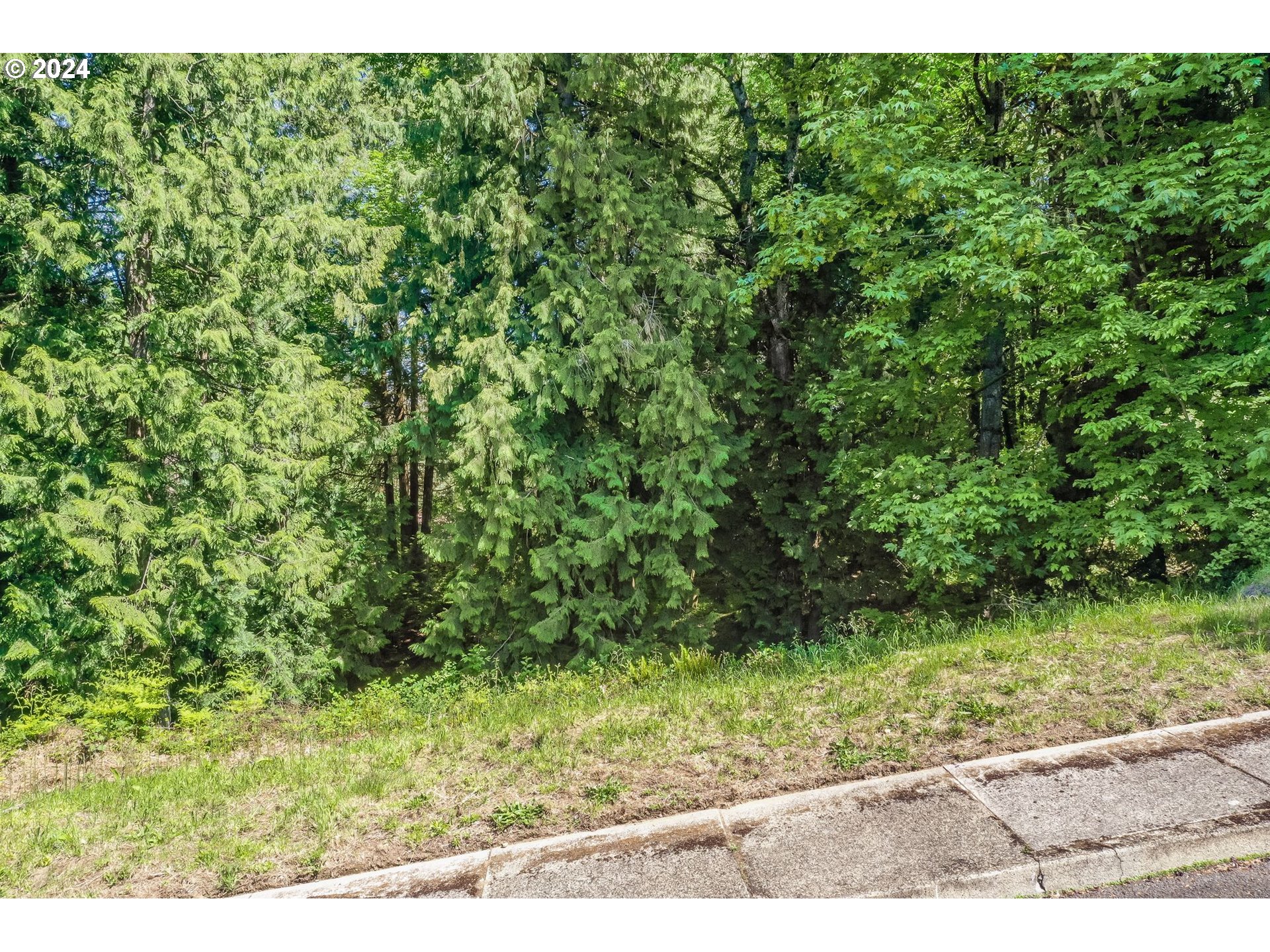 Southeast Duke Street Portland, OR 97236 - Photo 4 of 30