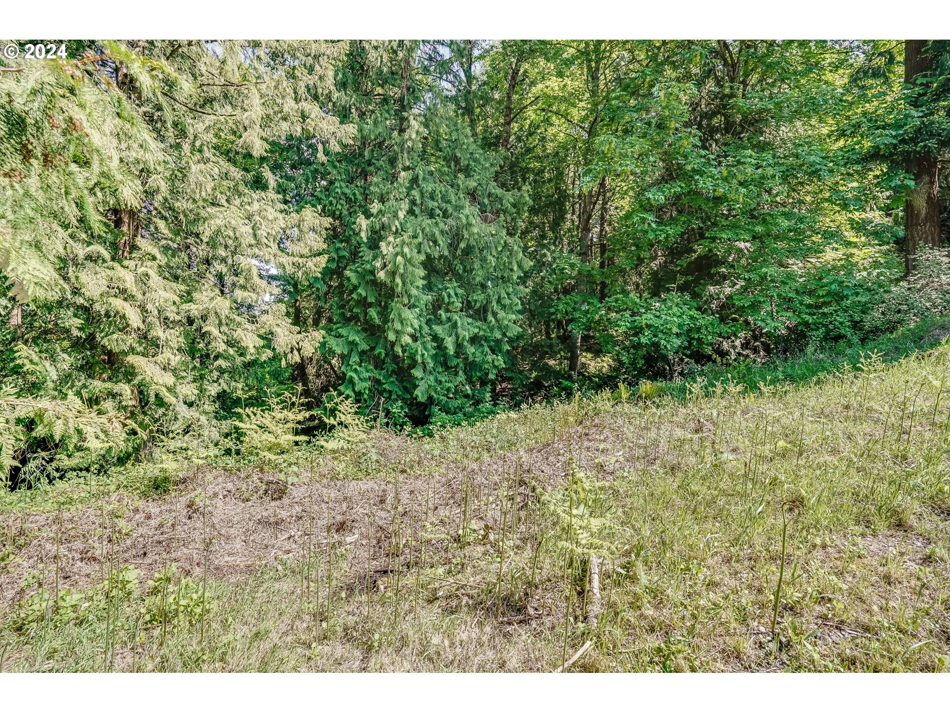 Southeast Duke Street Portland, OR 97236 - Photo 9 of 30