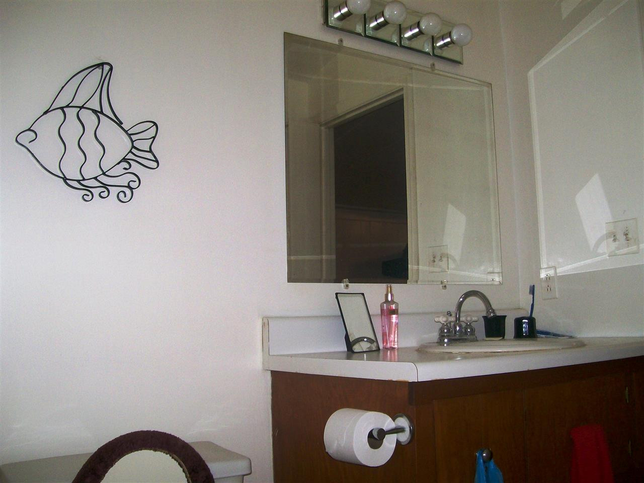 389 Mabry Mill Road Henderson, NC 27537 - Photo 7 of 11 Bathroom