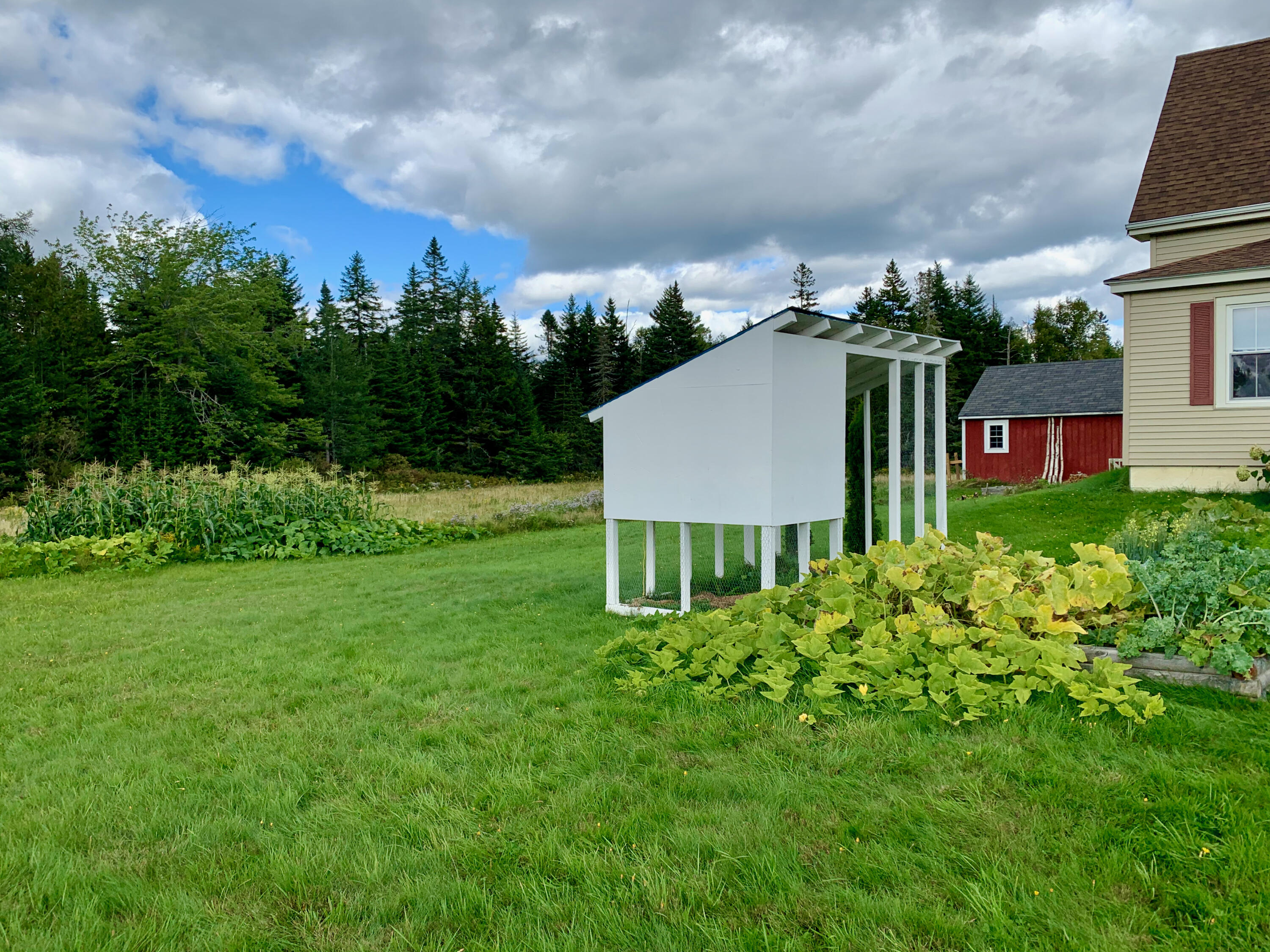 1485 Mason Bay Road Jonesport, ME 04649 - Photo 8 of 73 IMG_7942
