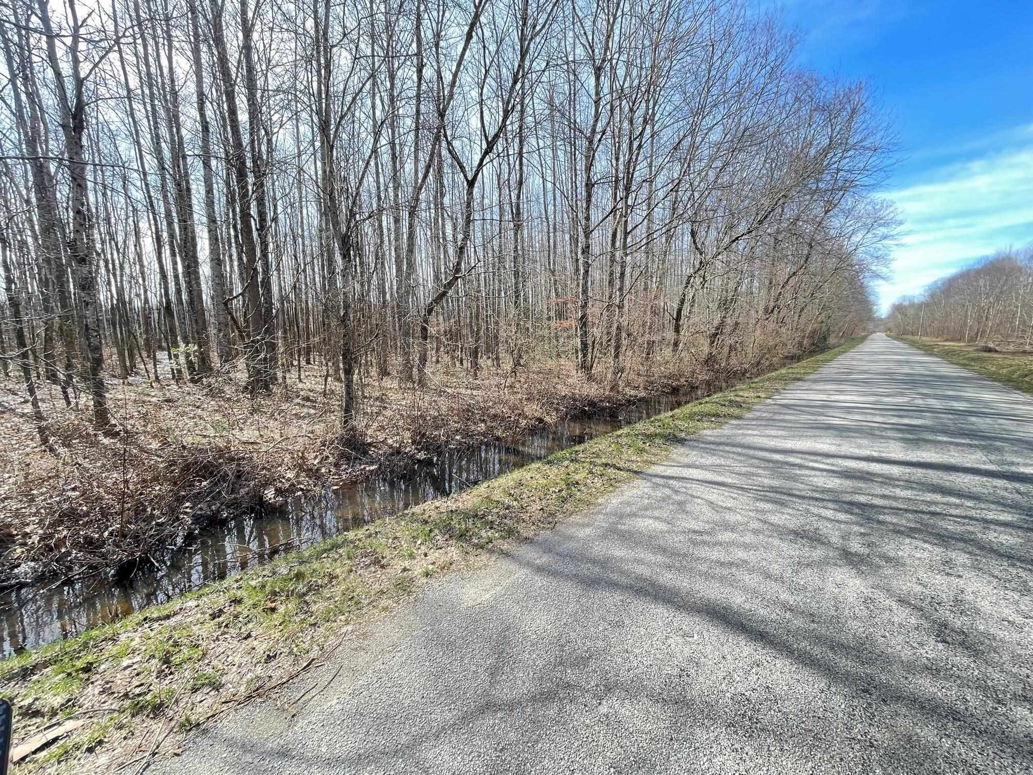0 Fry Road Lavinia, TN 38348 - Photo 6 of 10 a view of a yard with trees