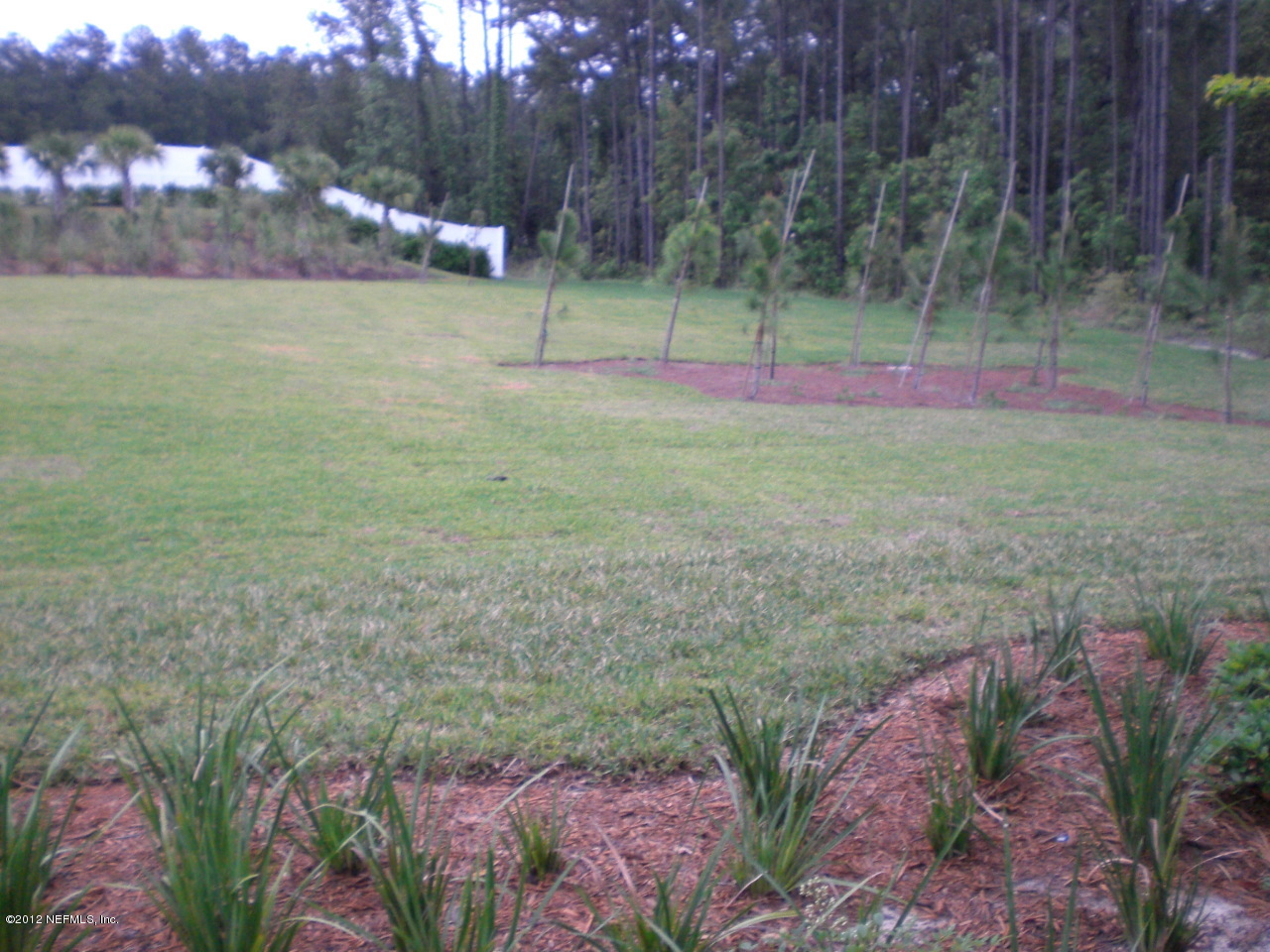 6963 Roundleaf Drive Jacksonville, FL 32258 - Photo 12 of 16 a view of a yard with a tree