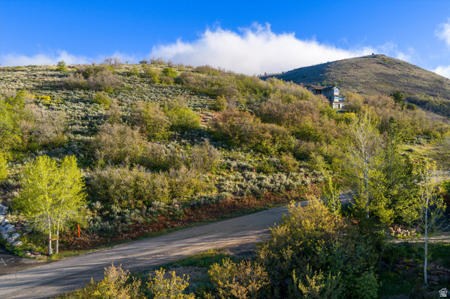 6975 North Durfee Way, Unit 20 Eden, UT 84310 - Photo 11 of 15 Hillside property featuring natural landscaping and a winding paved road