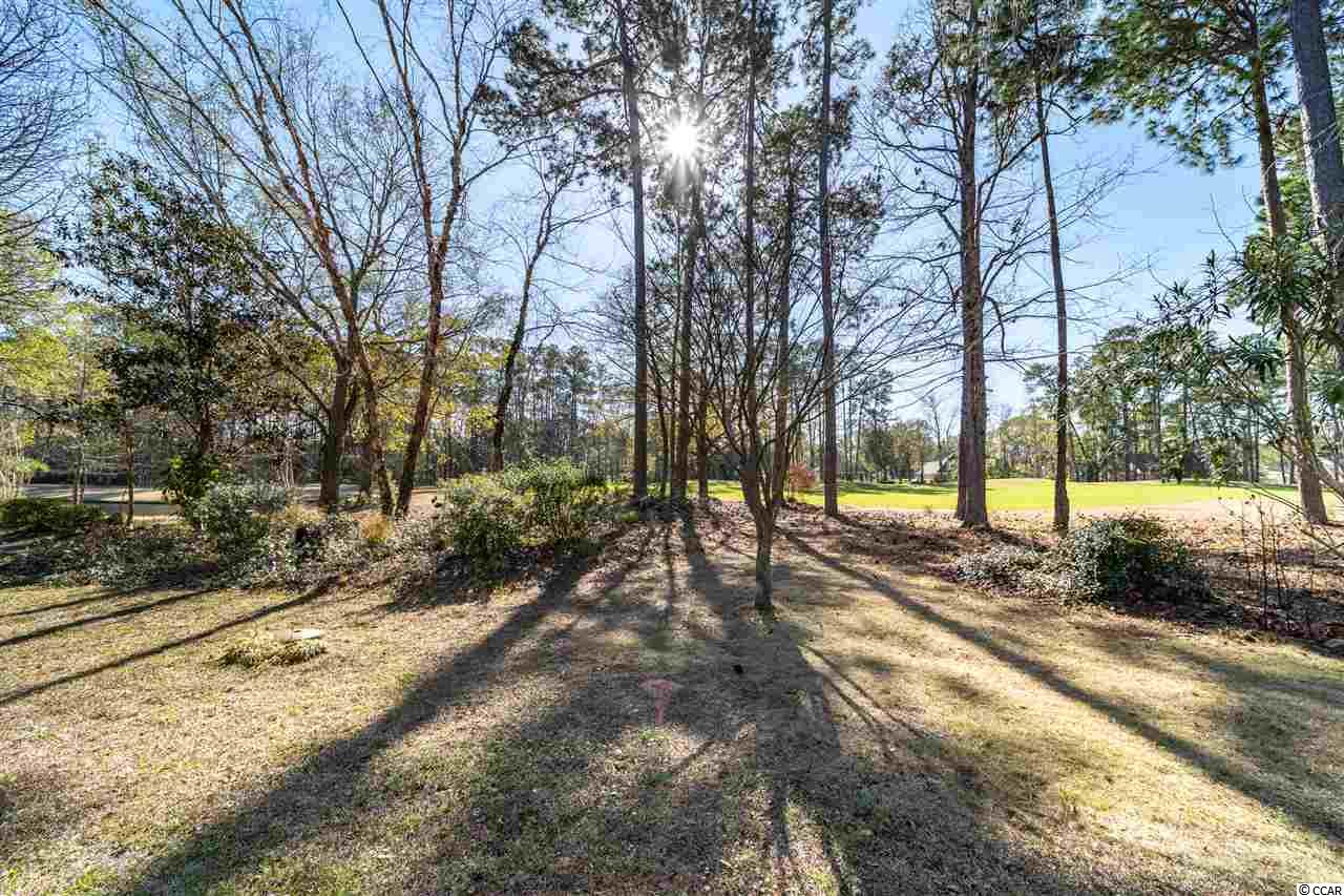 4459 Maypop Trail Murrells Inlet, SC 29576 - Photo 12 of 40 Gallery Image 12