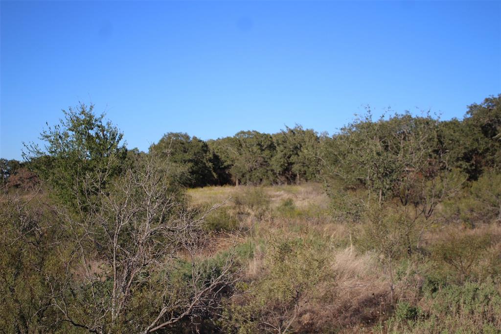 0 Eureka School Road Nocona, TX 76255 - Photo 11 of 14