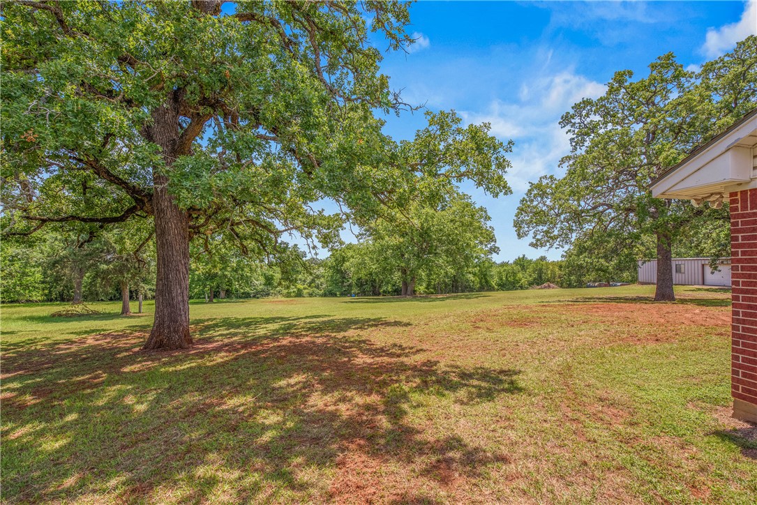 1110 County Road 439 Dime Box, TX 77853 - Photo 42 of 50 a view of a field with trees