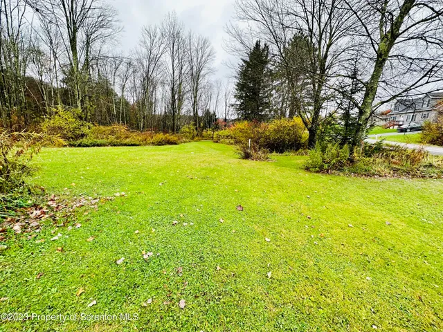 a view of yard with green space