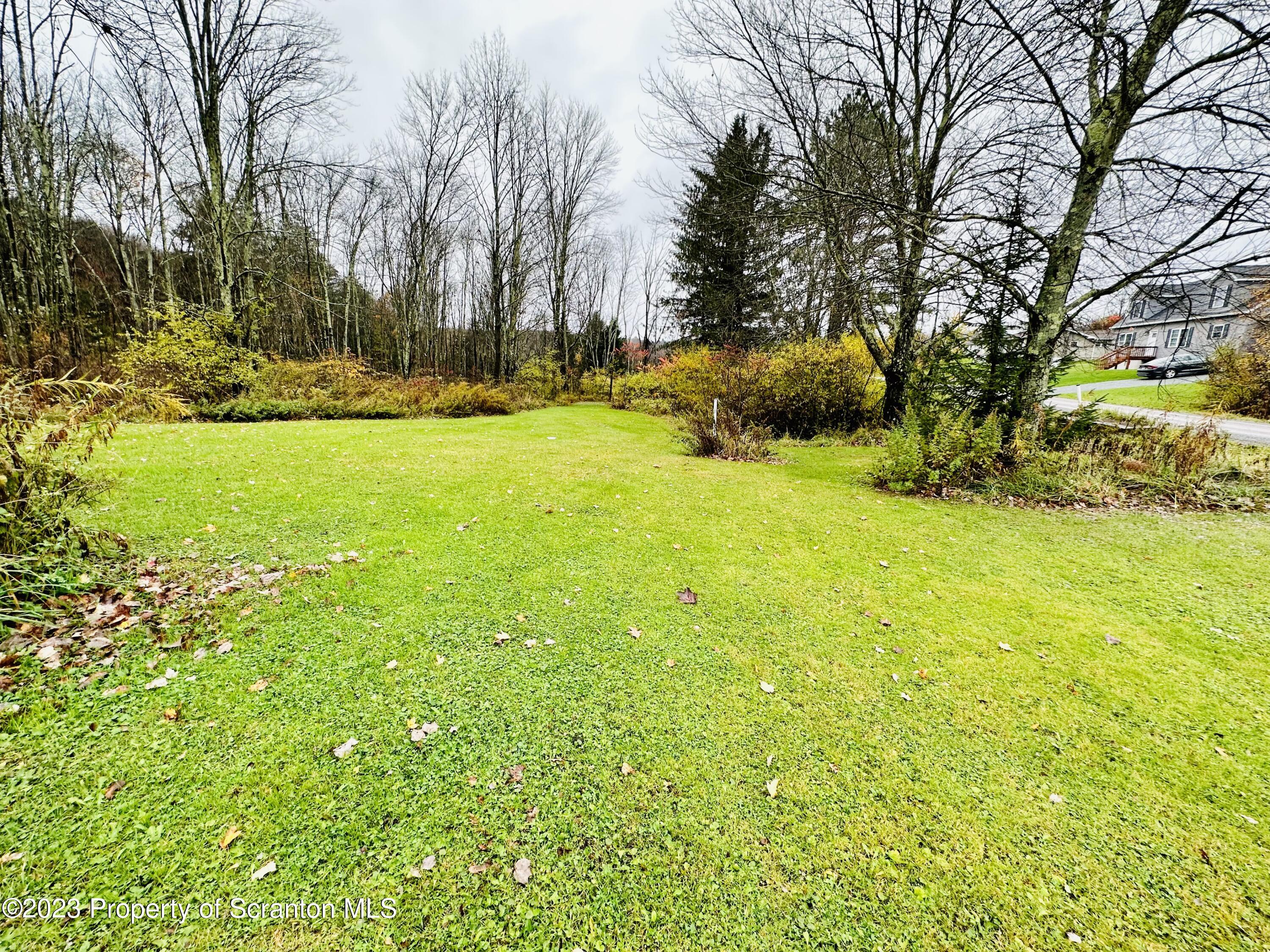 360 Pedrick Road Nicholson, PA 18446 - Photo 2 of 8 a view of yard with green space