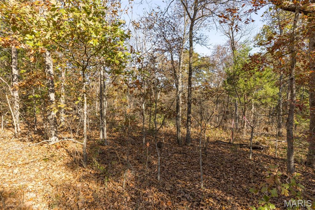 Lot 6 Thunder Ridge Road Richwoods, MO 63071 - Photo 2 of 6