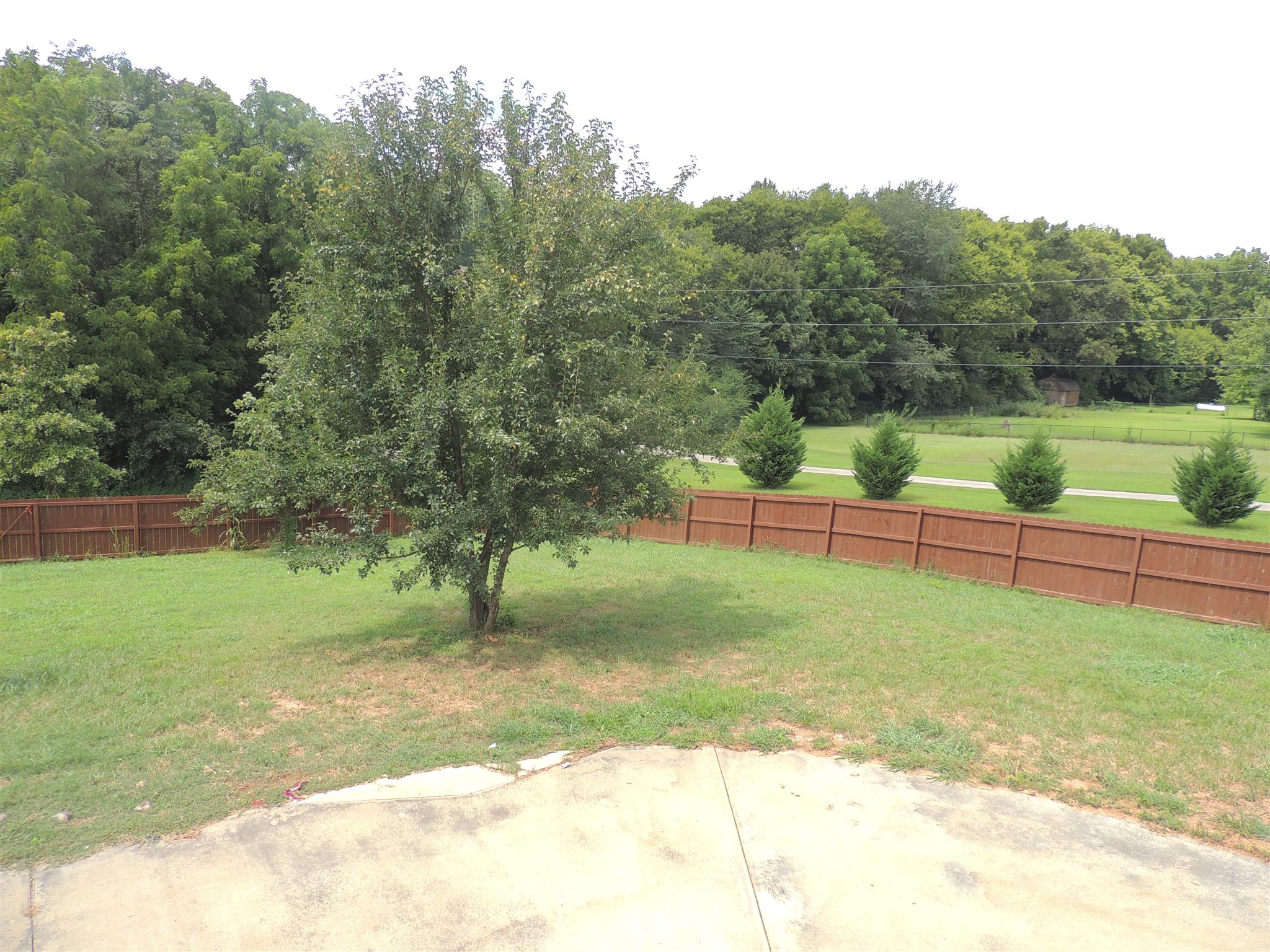 3172 Marthas Chapel Road Cunningham, TN 37052 - Photo 20 of 29 a view of a park with large trees